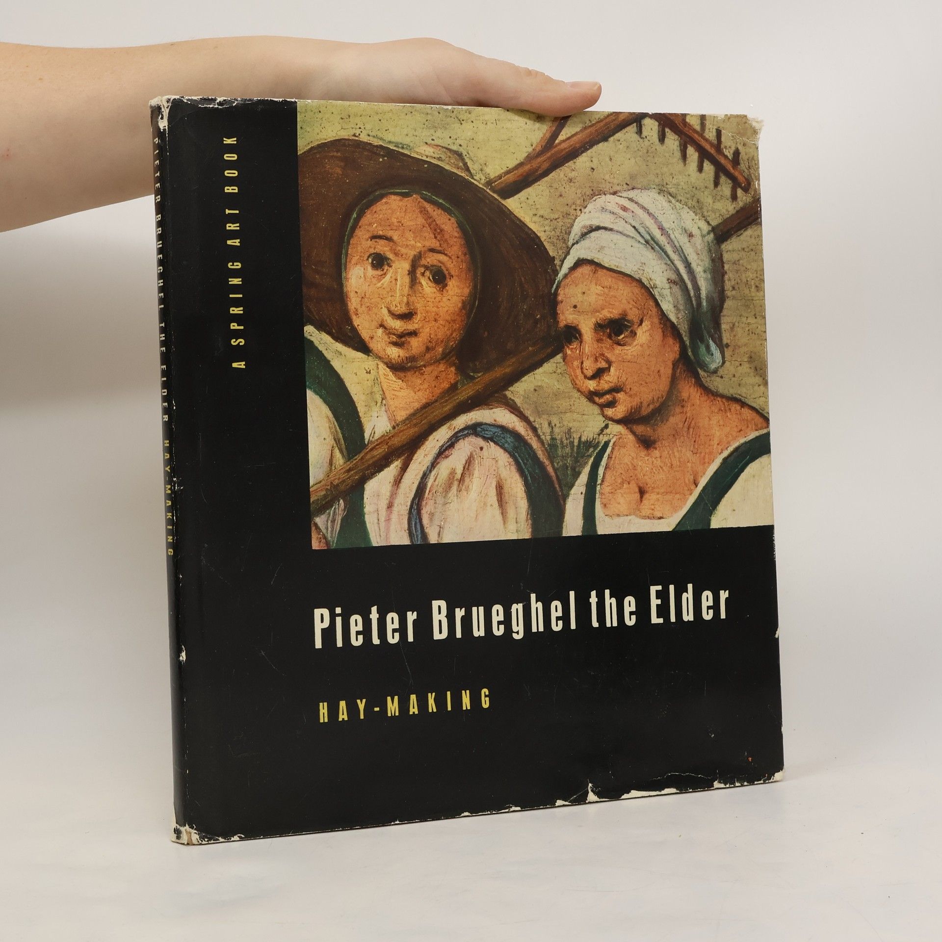 Collectif d'auteurs Pieter Brueghel the Elder