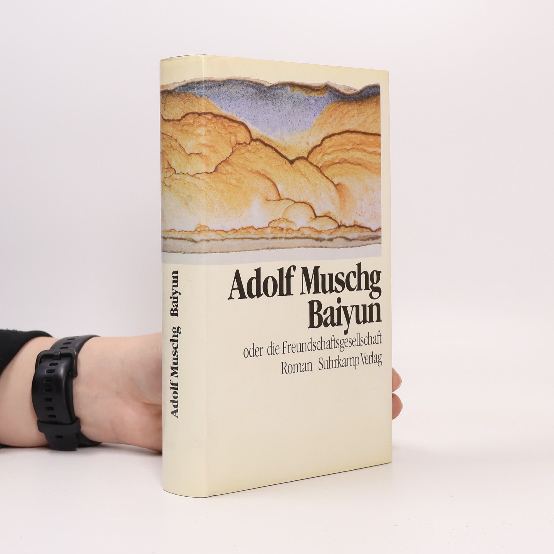 Adolf Muschg Baiyun oder die Freundschaftsgesellschaft