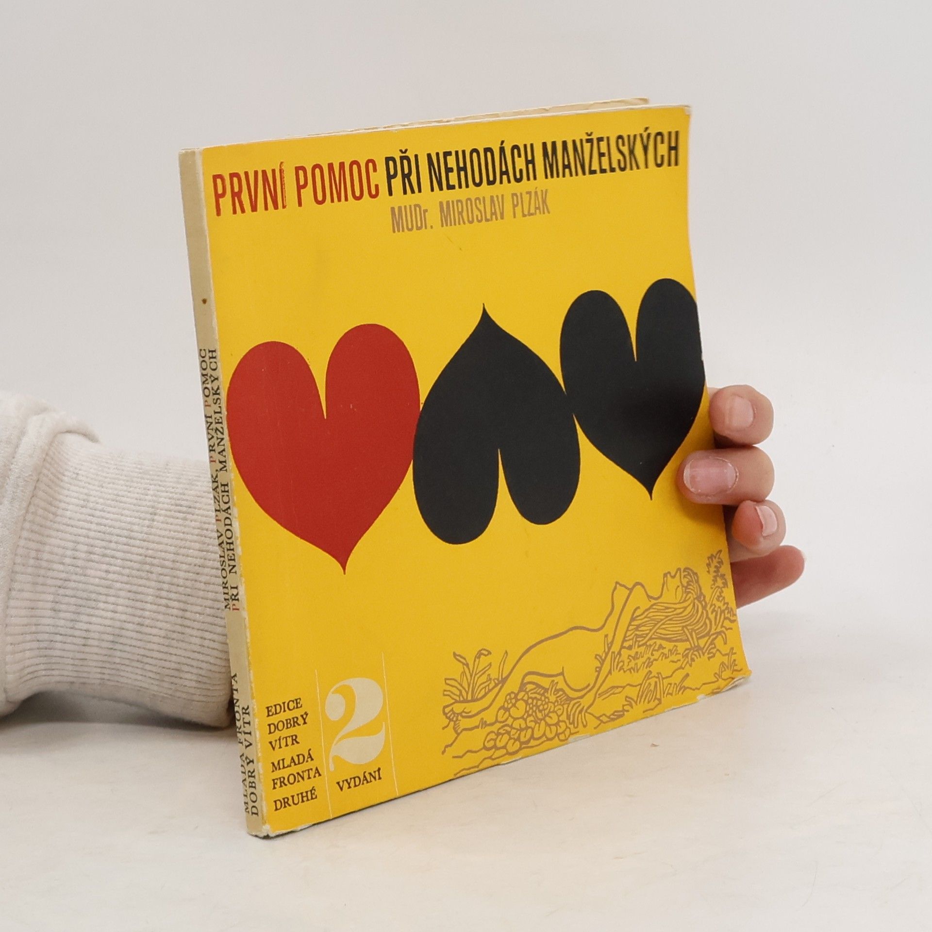Miroslav Plzák První pomoc při nehodách manželských