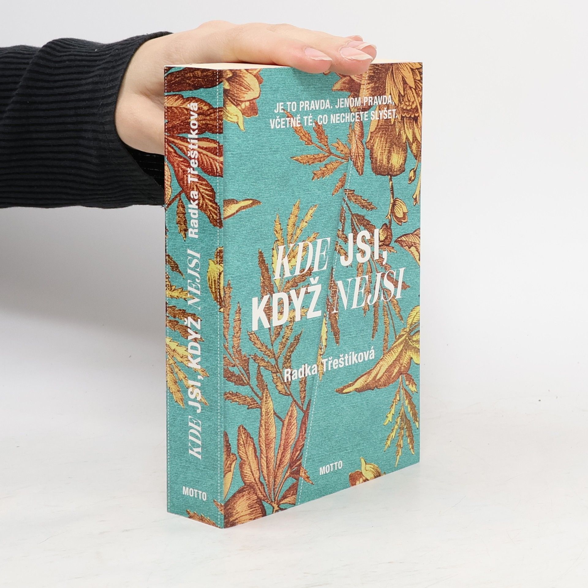 Radka Třeštíková Kde jsi, když nejsi