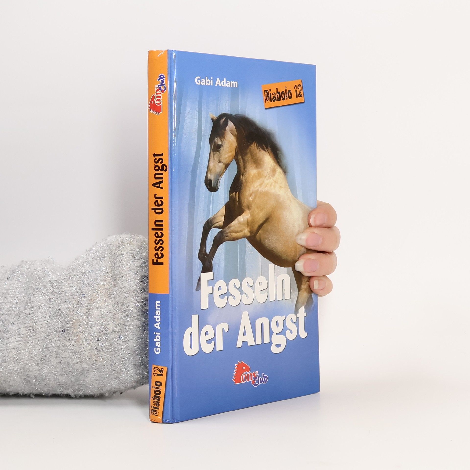 Diabolo 12: Fesseln der Angst