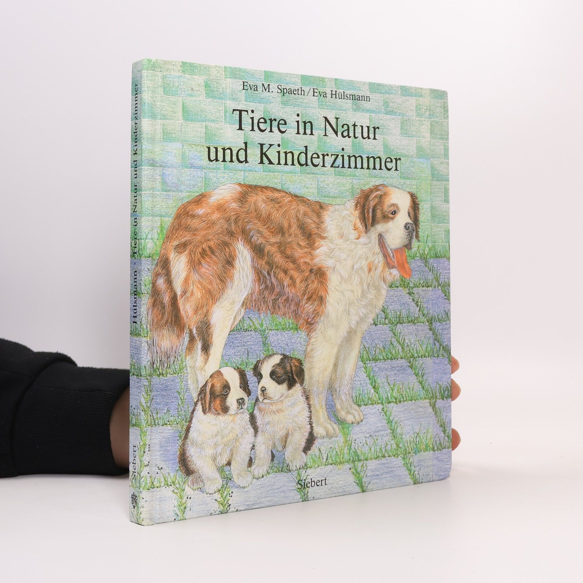 Eva Hülsmann Tiere in Natur und Kinderzimmer