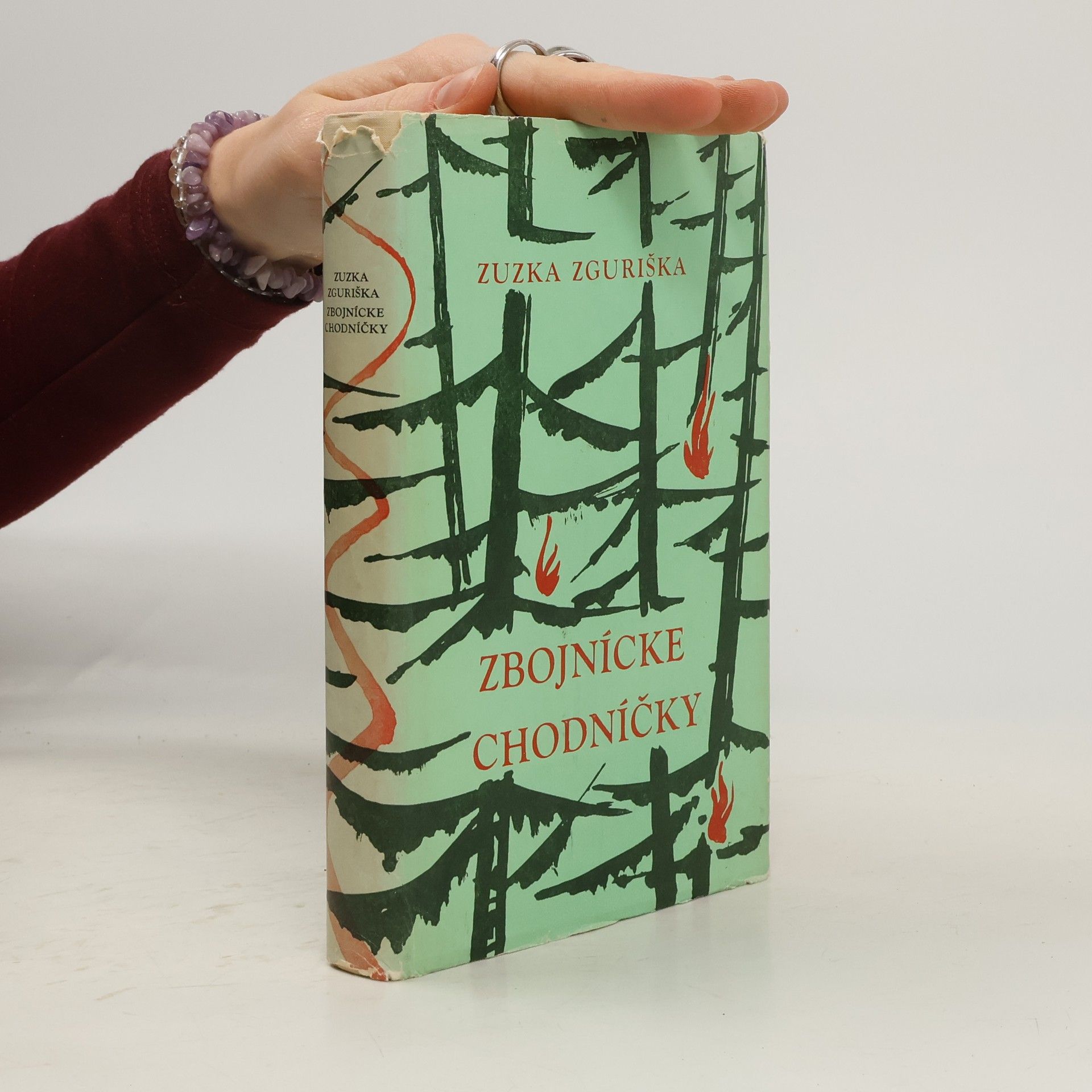 Zuzka Zguriška Zbojnícke chodníčky