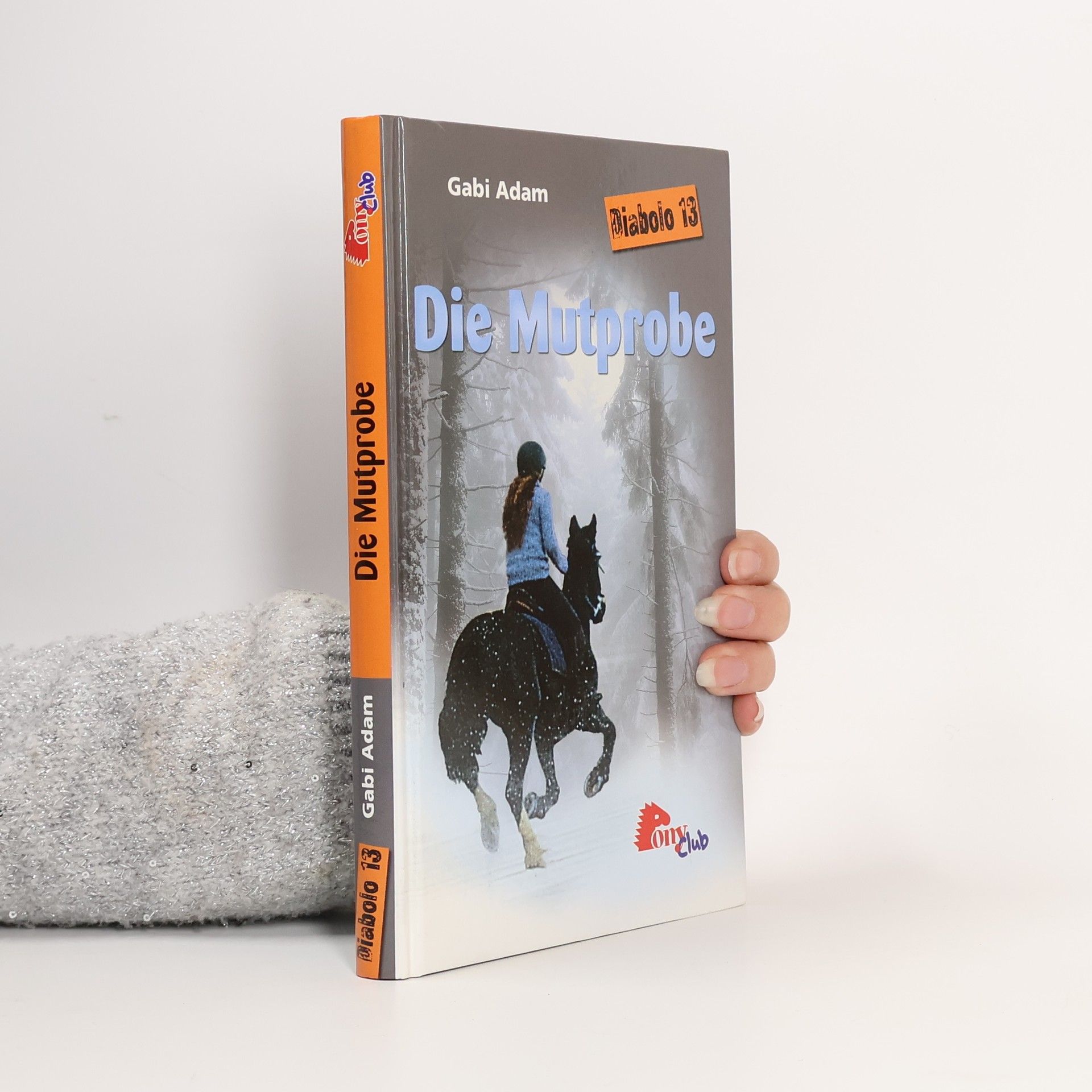 Gabi Adam Diabolo 13. Die Mutprobe