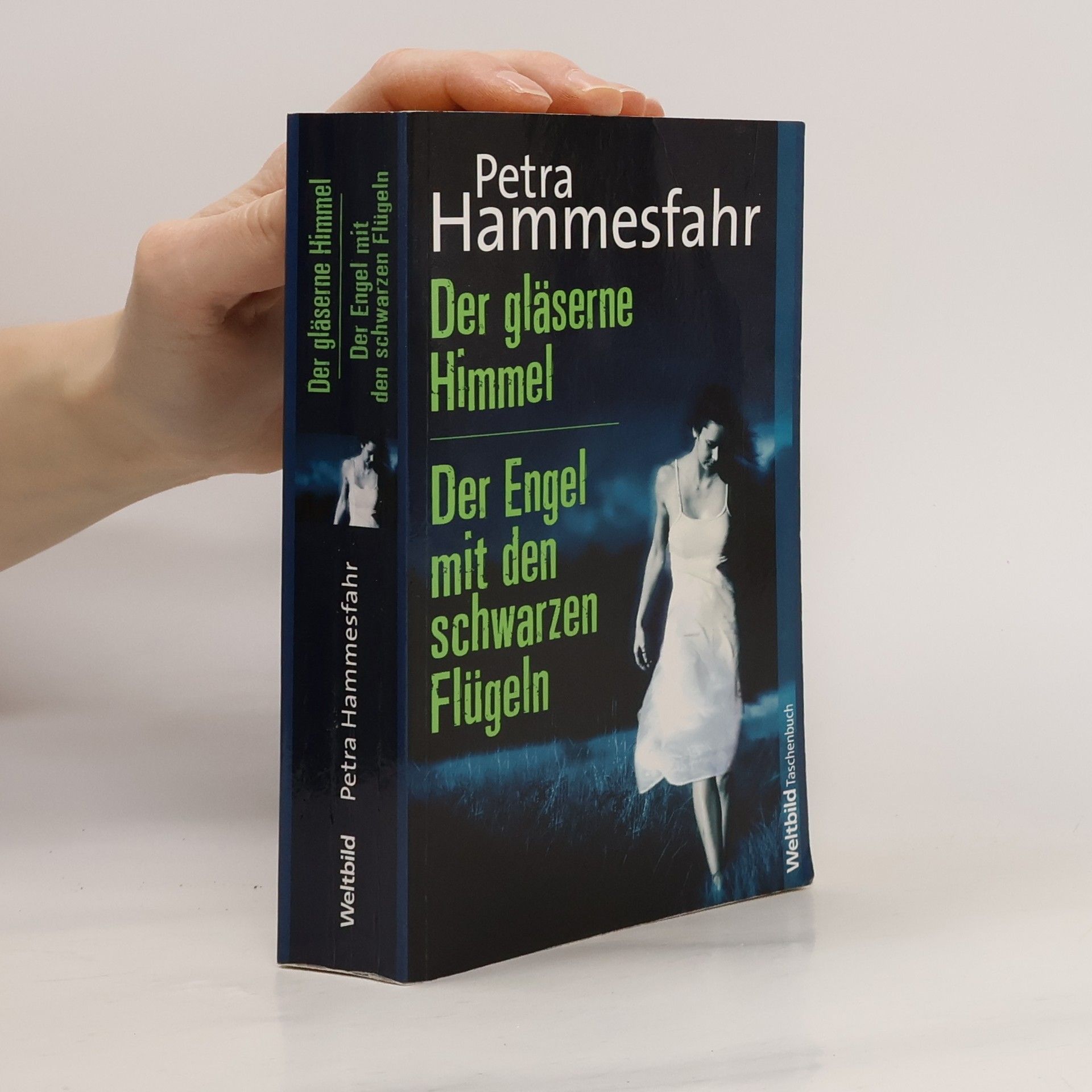 Petra Hammesfahr Der gläserne Himmel