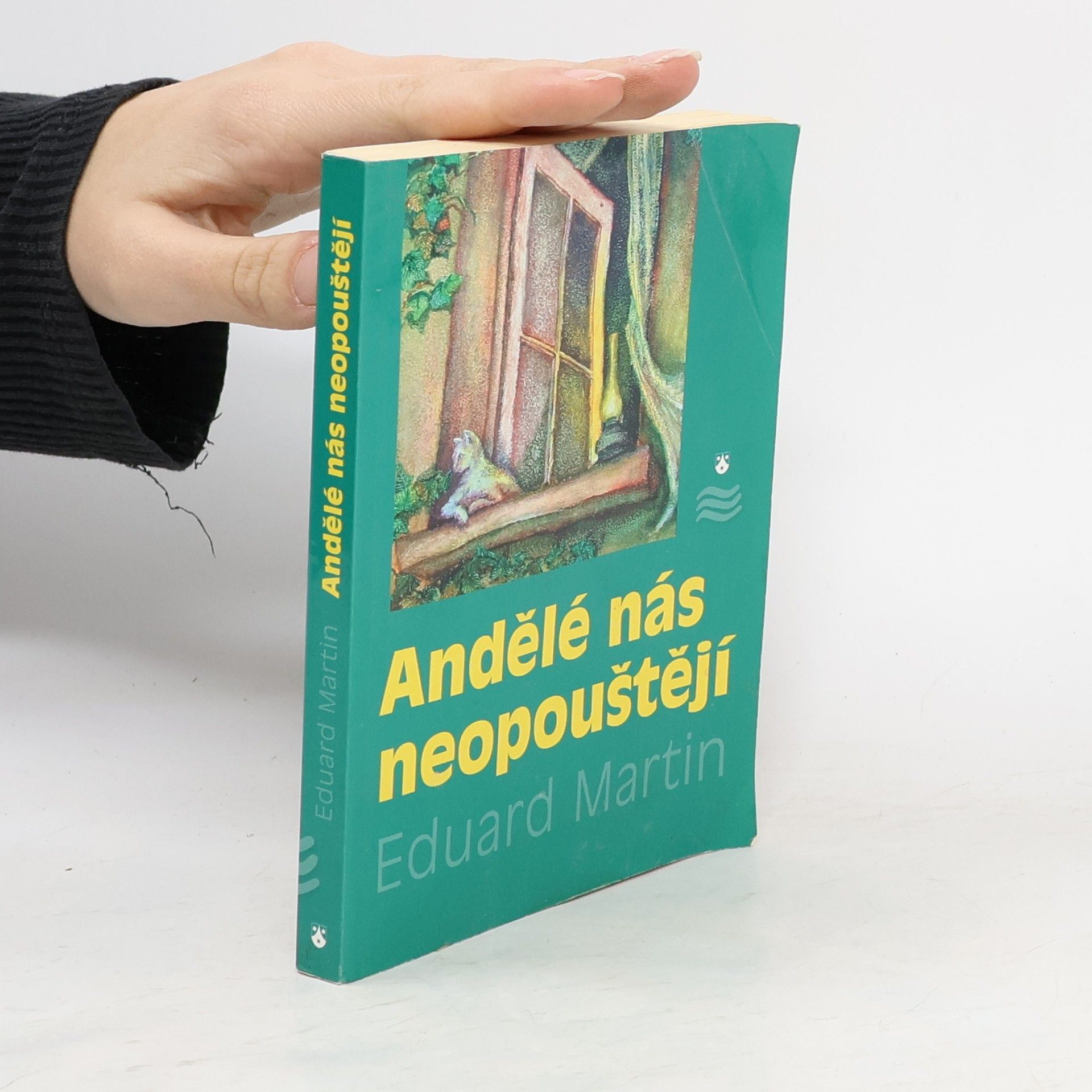 Martin Petiška Andělé nás neopouštějí