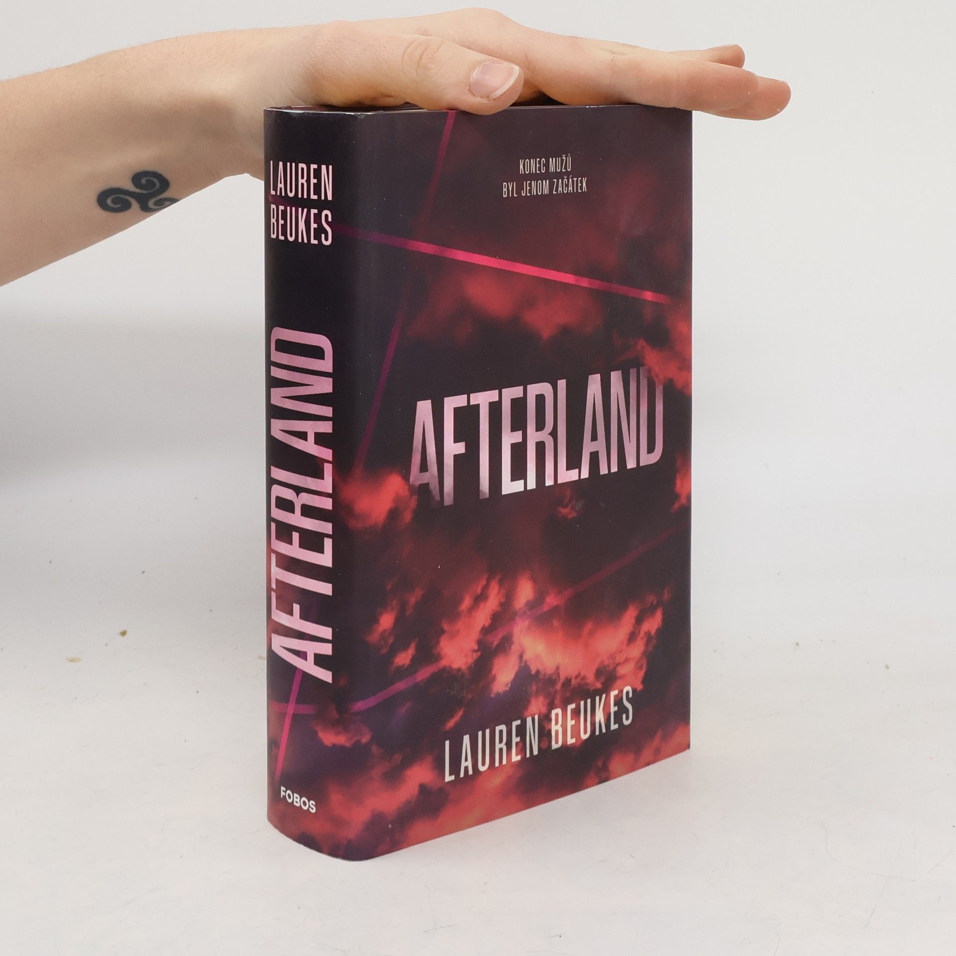 Lauren Beukes Afterland