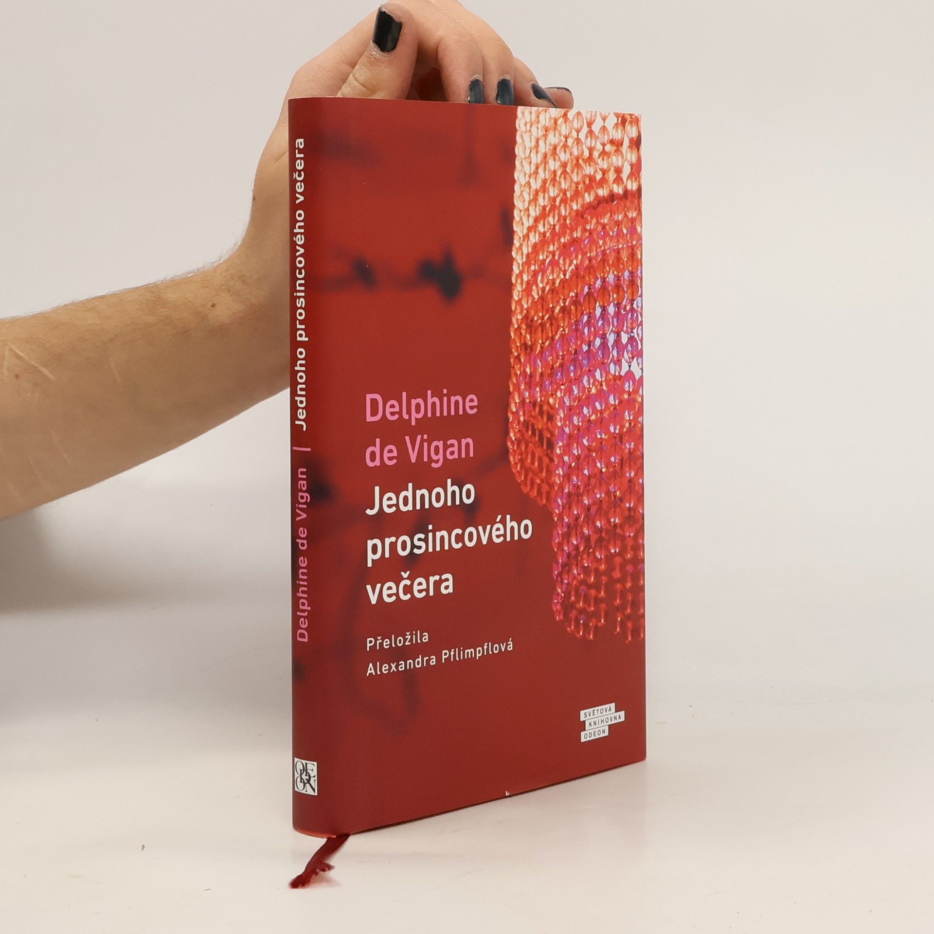 Delphine de Vigan Jednoho prosincového večera