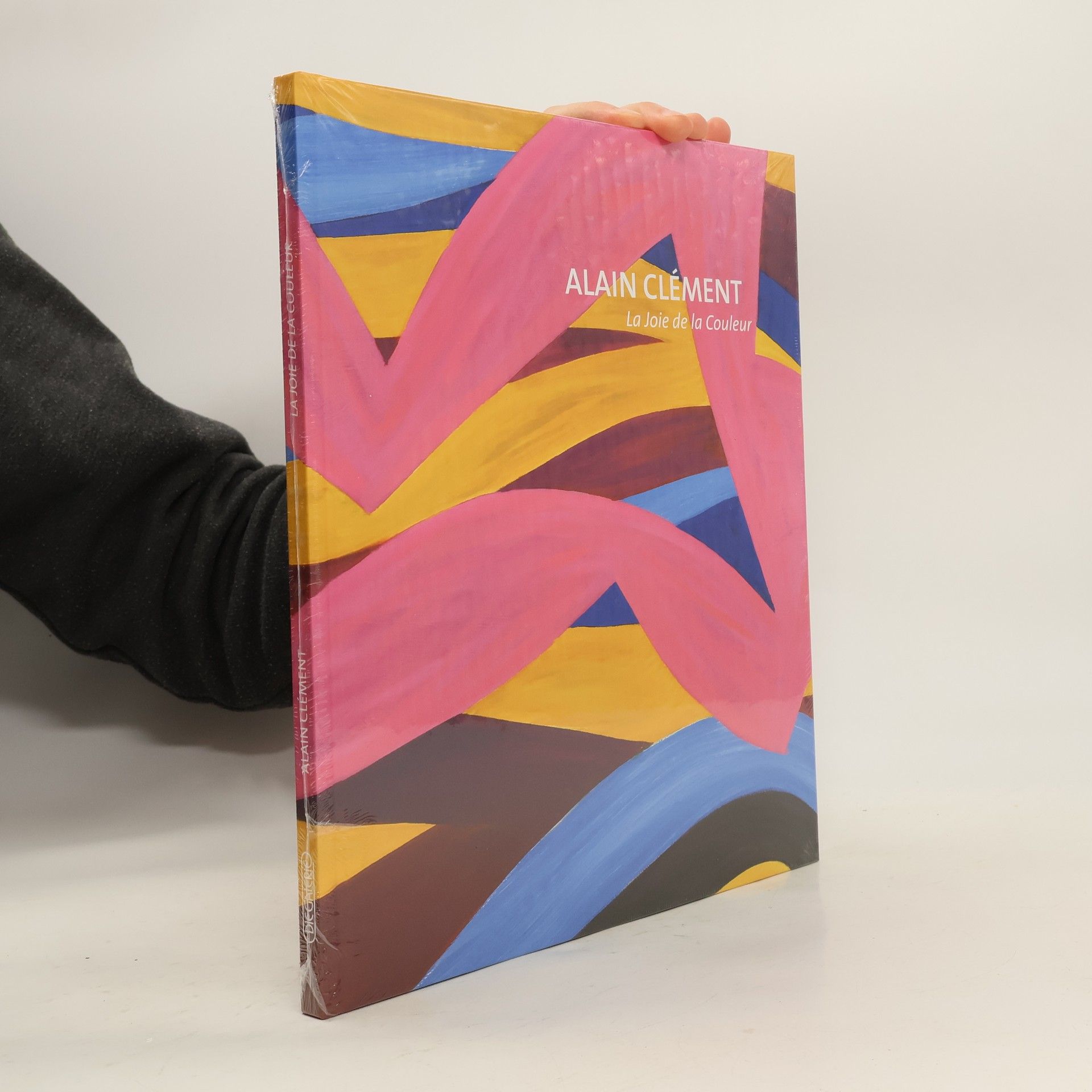 Nathalie Gallissot Alain Clément. La Joie de la Couleur.