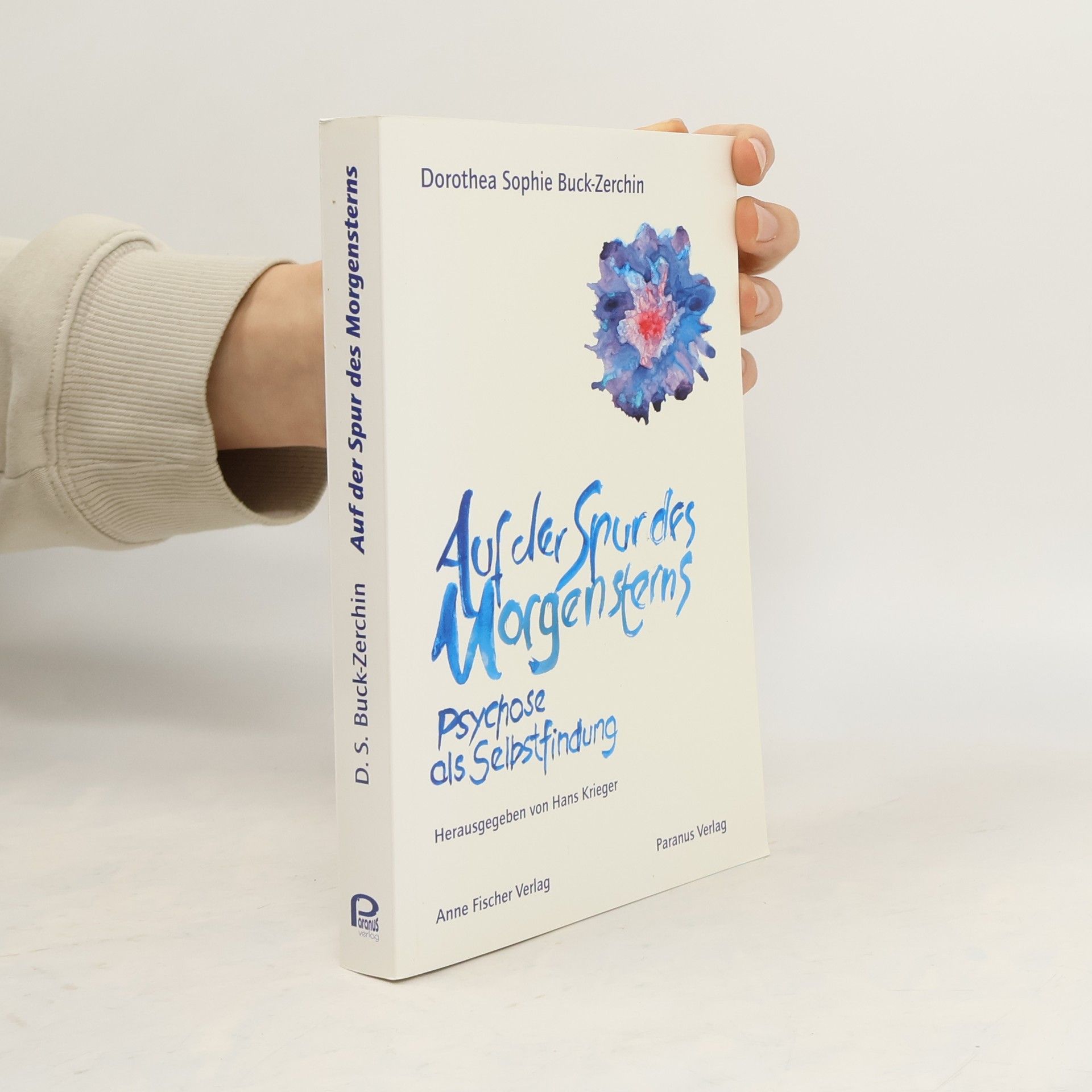 Dorothea S Buck-Zerchin Auf der Spur des Morgensterns