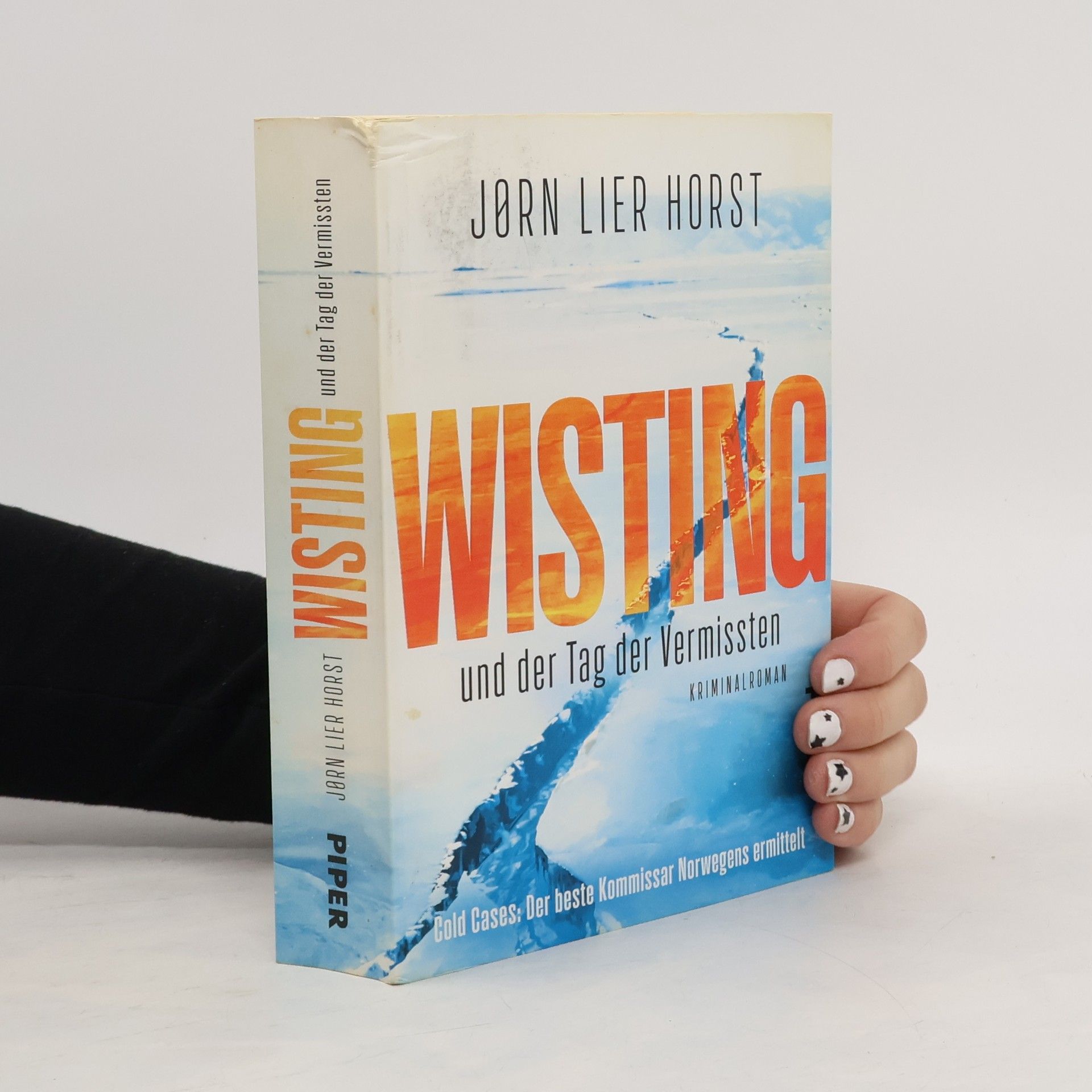 Jørn Lier Horst Wisting und der Tag der Vermissten