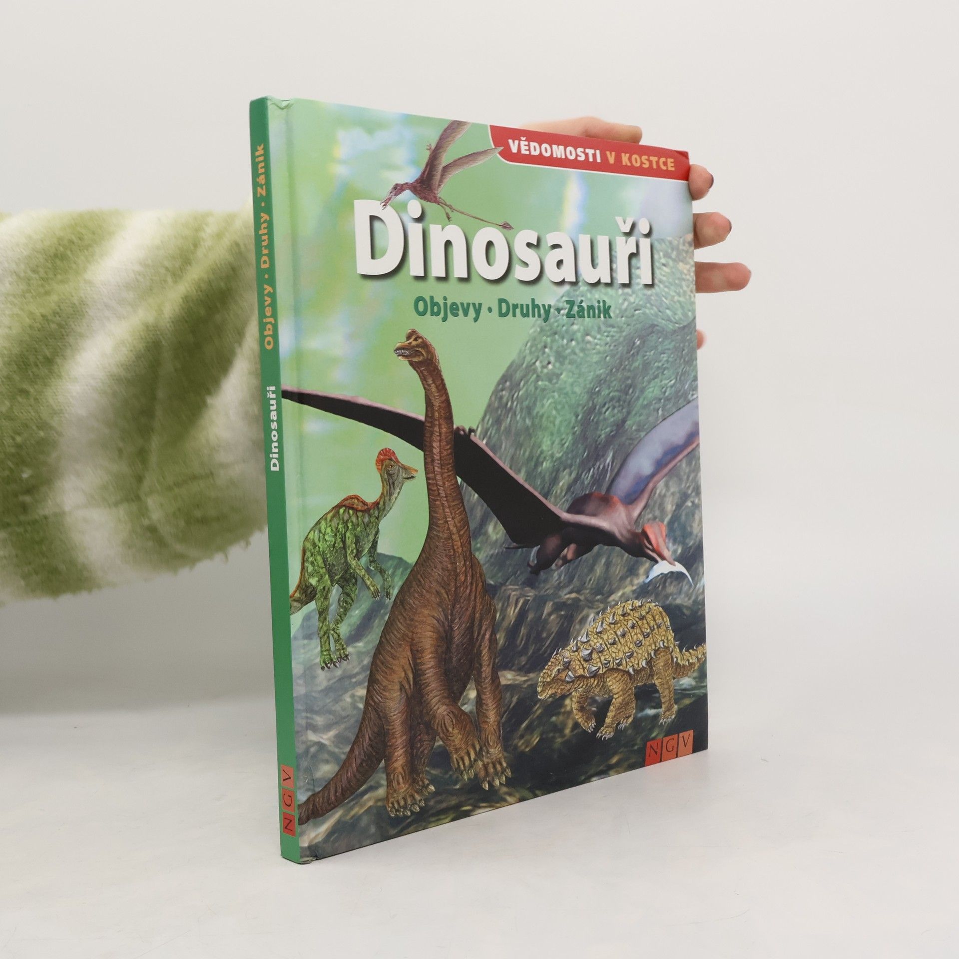 Autorenkollektiv Dinosauři