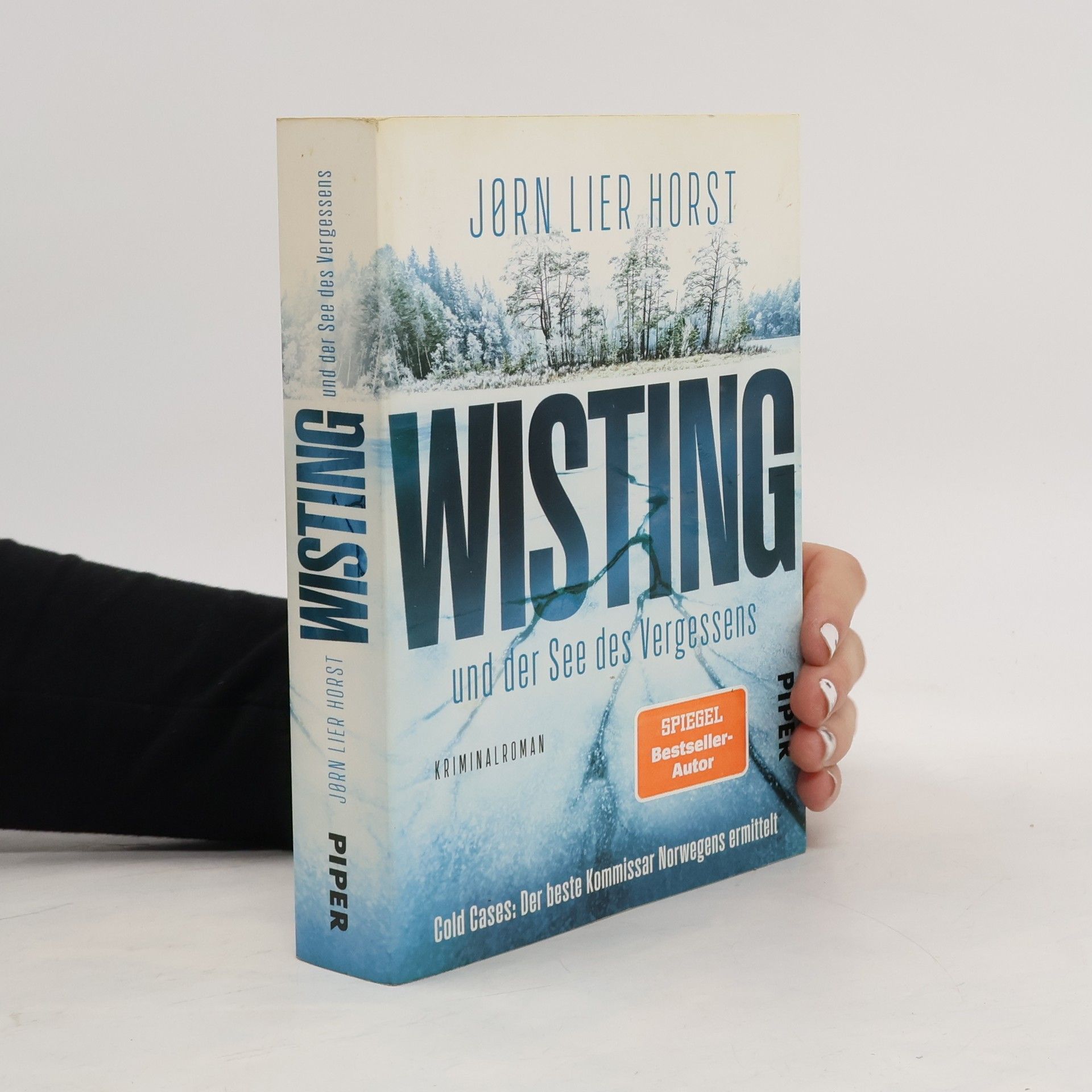 Wisting und der See des Vergessens