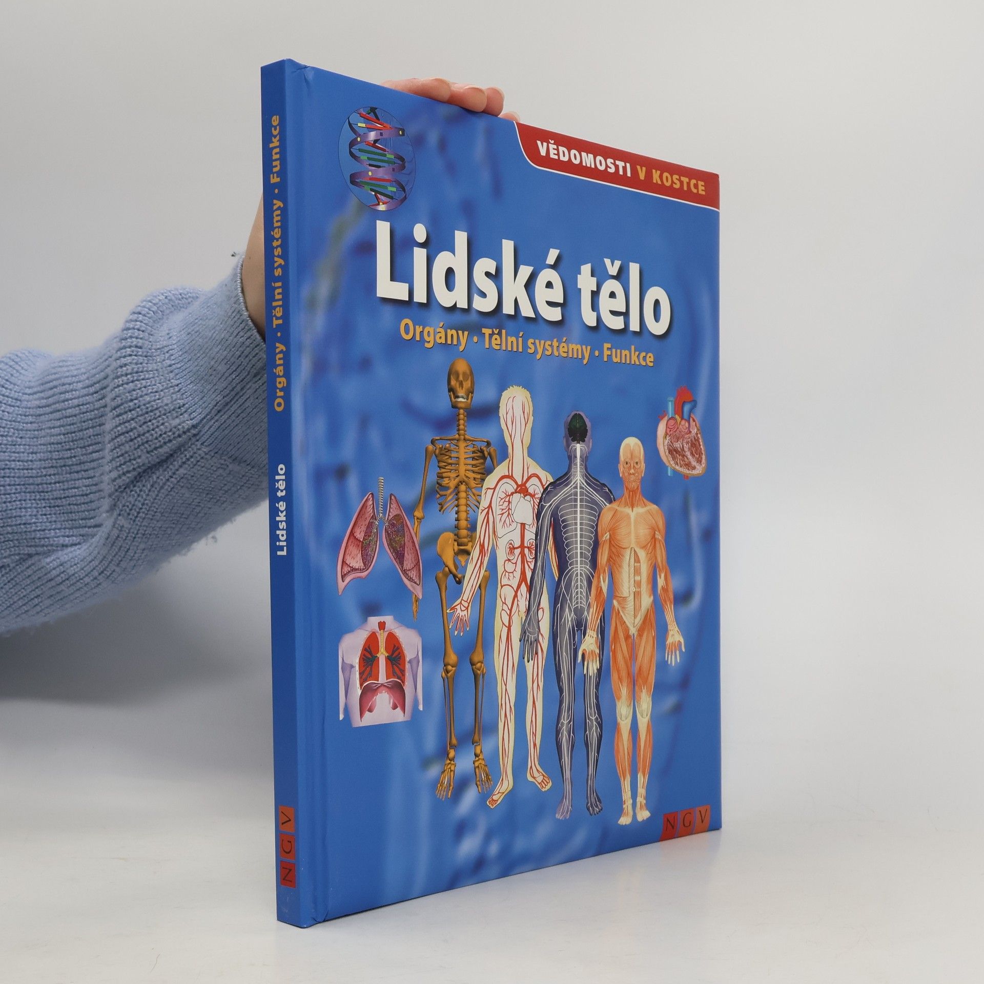 Autorenkollektiv Lidské tělo. Orgány. Tělní systémy. Funkce