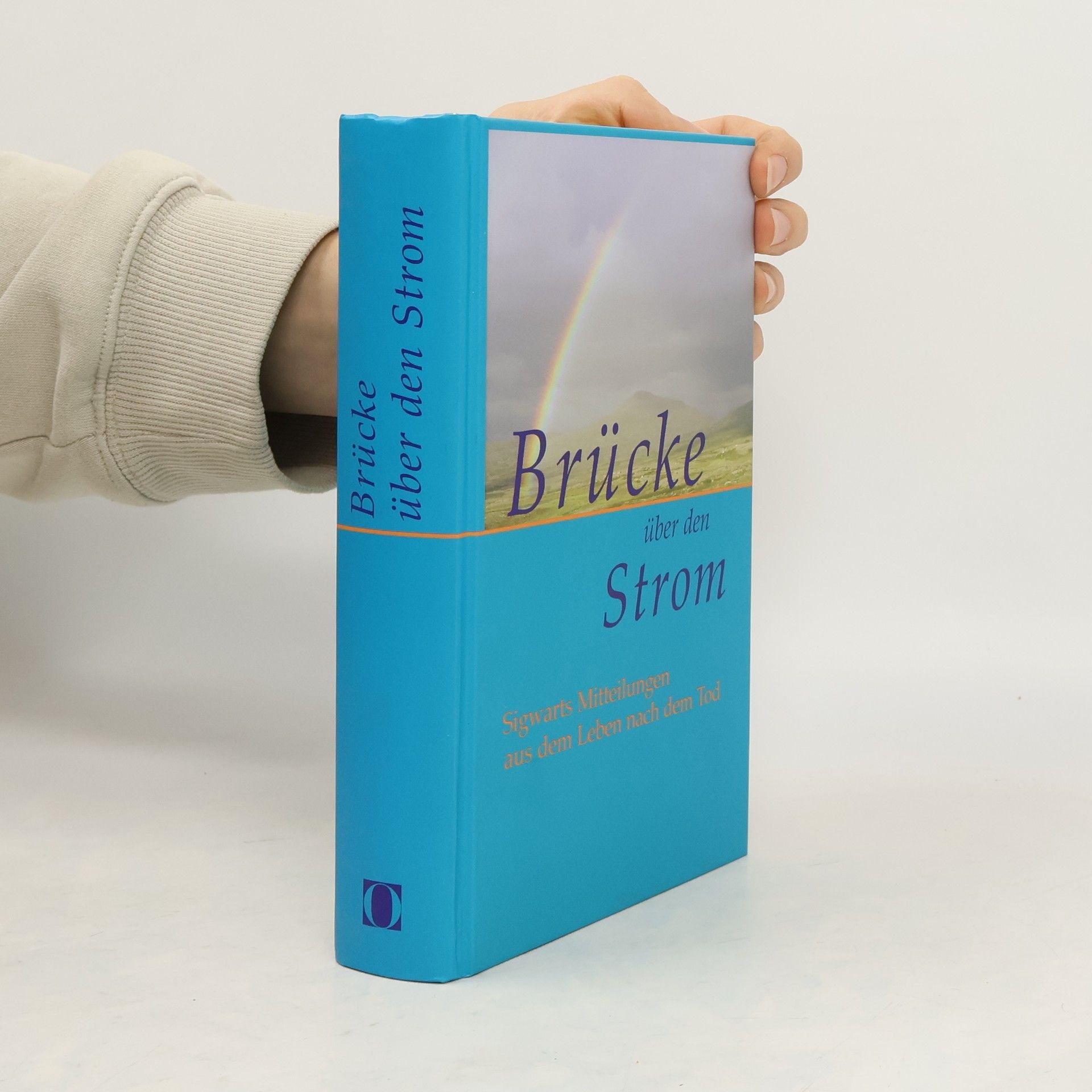 Friedrich Herbert Hillringhaus Brücke über den Strom