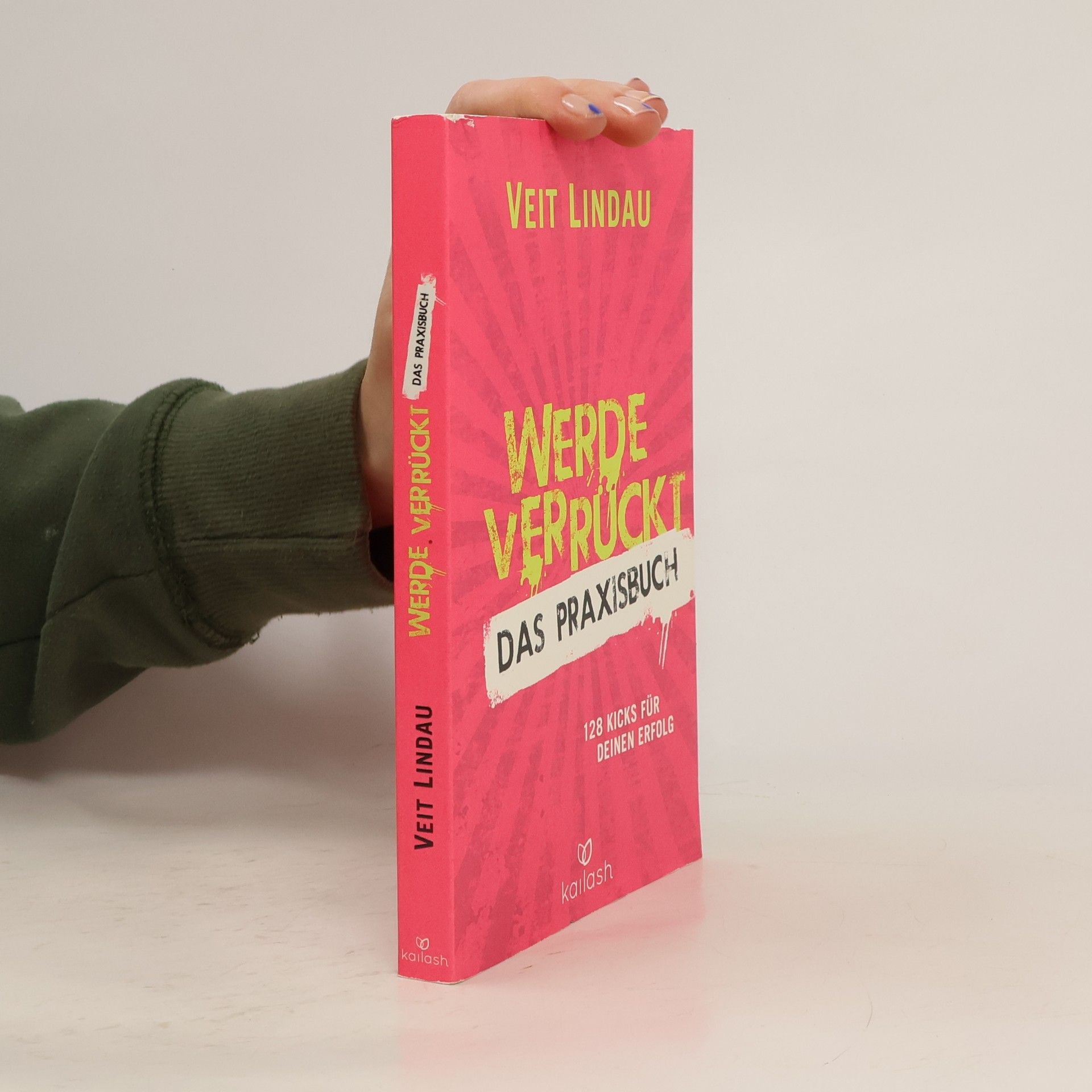 Veit Lindau Werde verrückt – Das Praxisbuch: 128 Kicks für deinen Erfolg