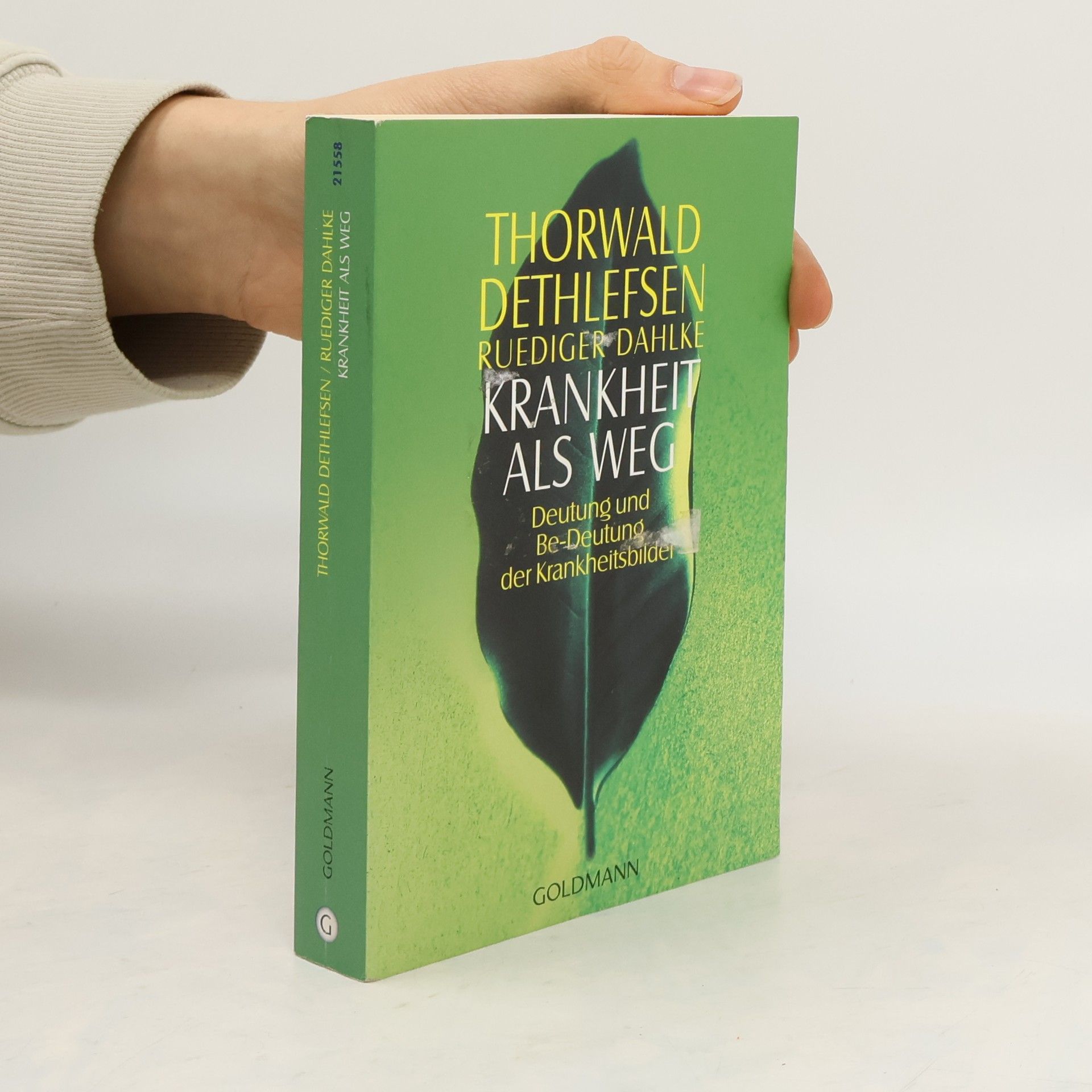 Thorwald Dethlefsen Krankheit als Weg