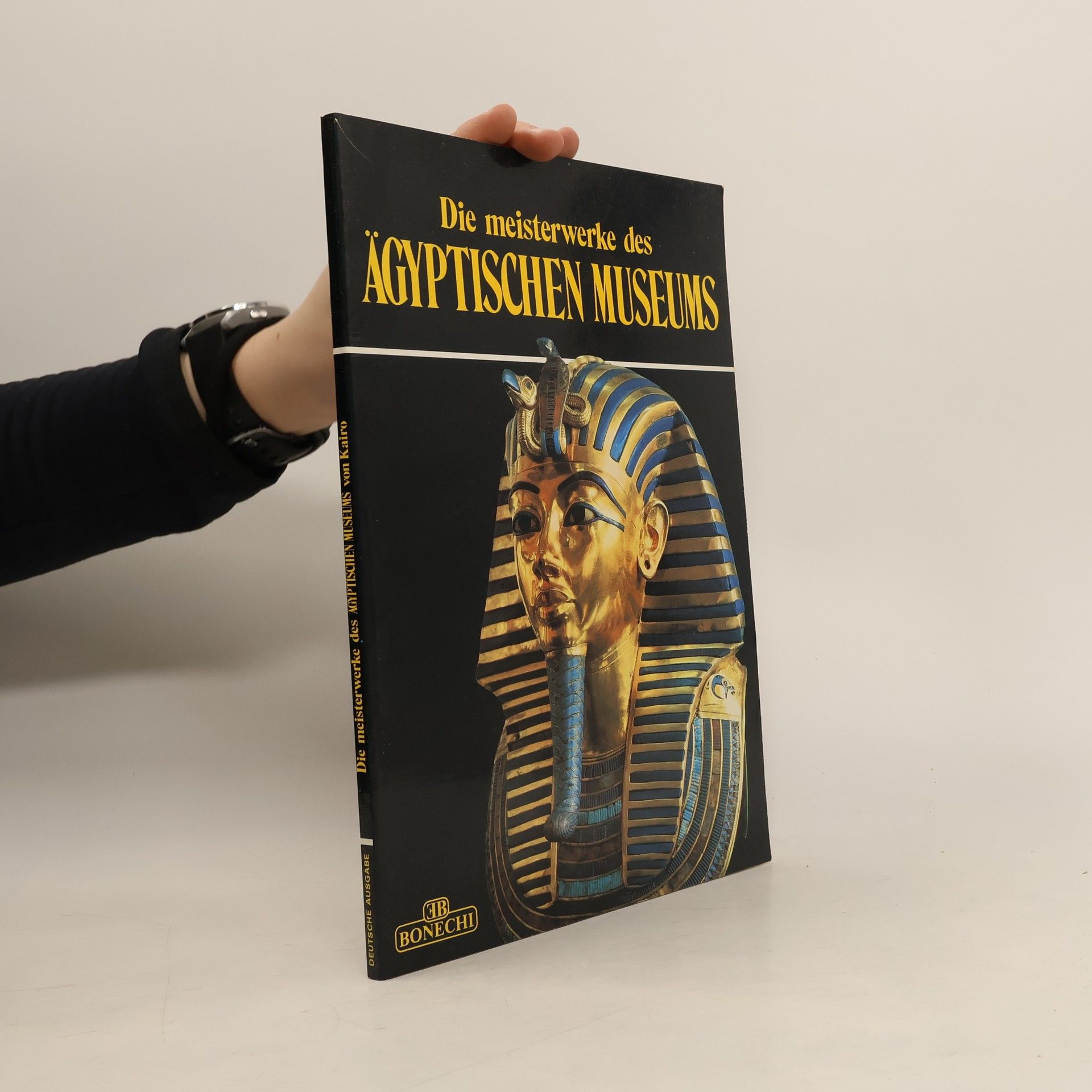 Autores varios Die Meisterwerke des Ägyptischen Museums