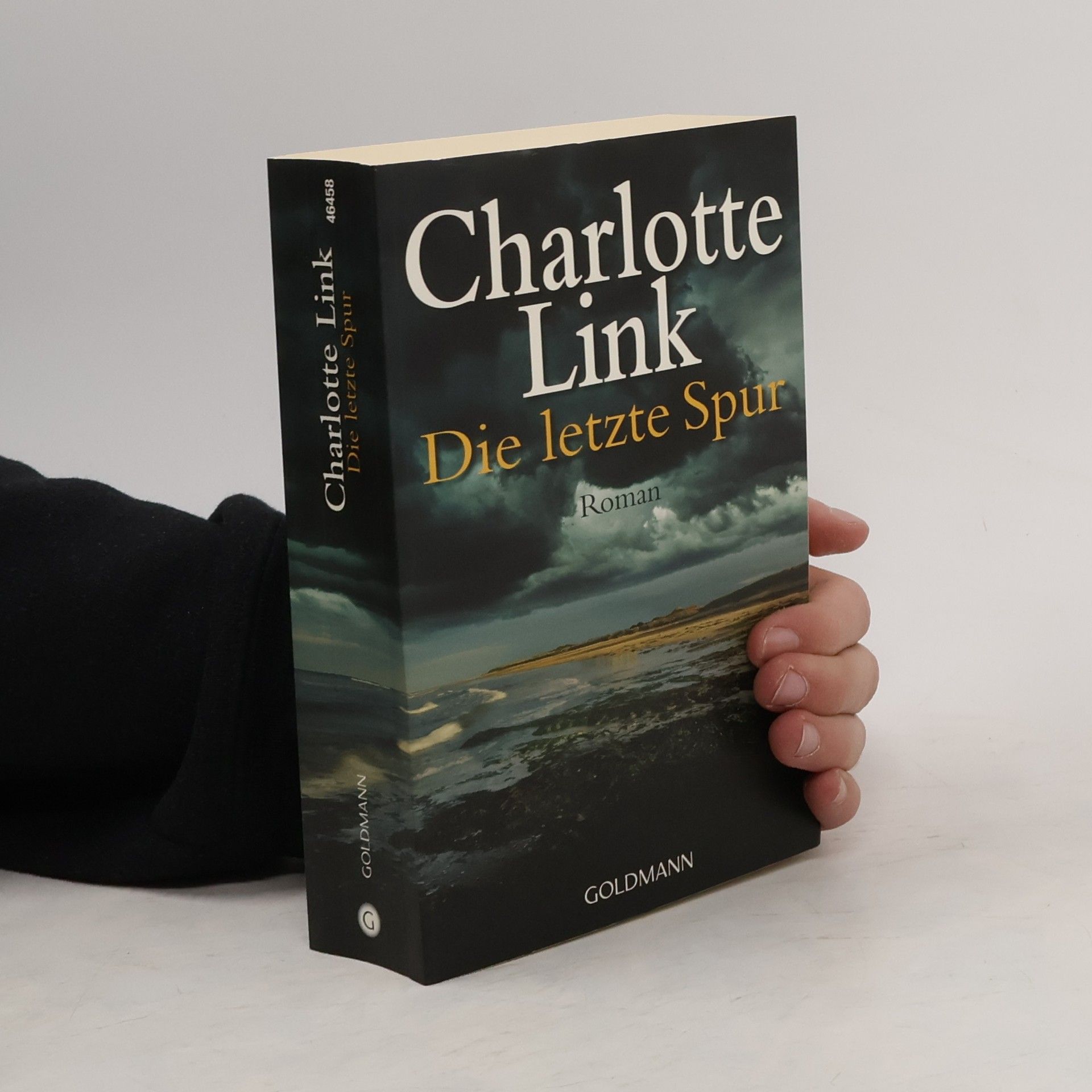 Charlotte Link Die letzte Spur