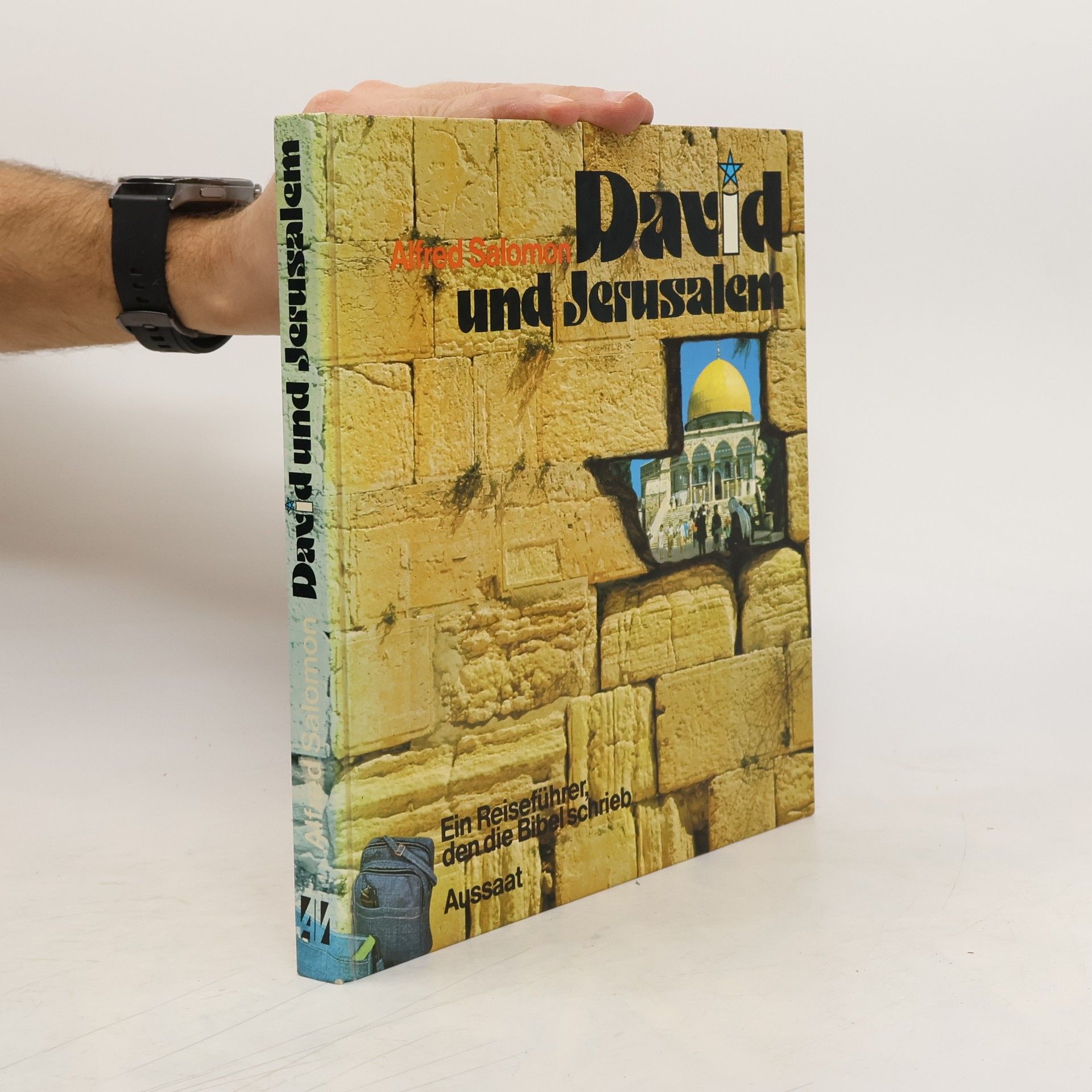 Alfred Salomon David und Jerusalem