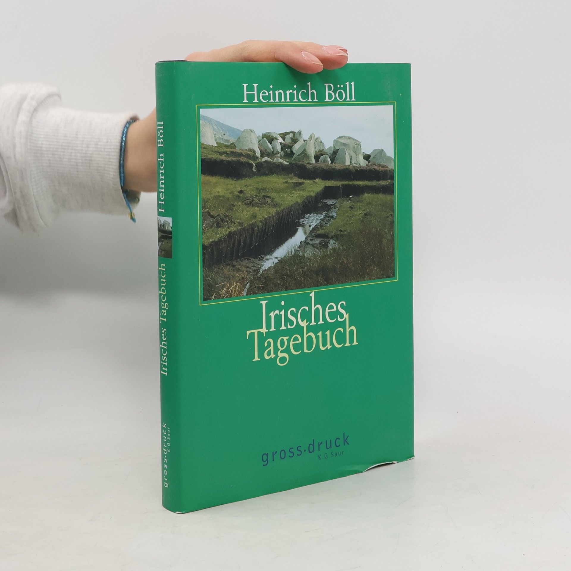 Heinrich Böll Irisches Tagebuch