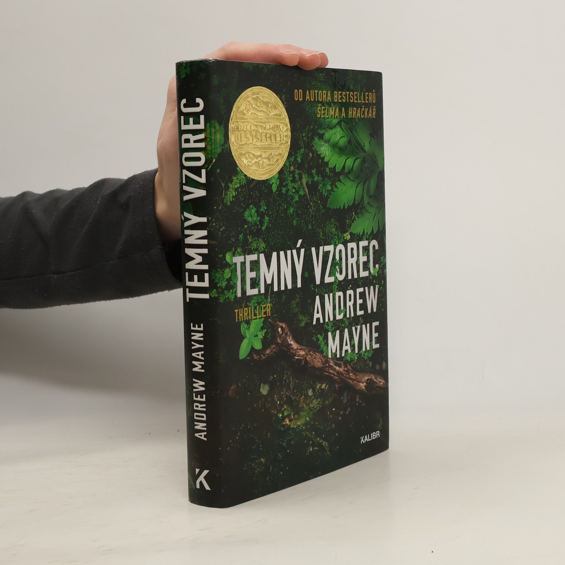 Andrew Mayne Temný vzorec