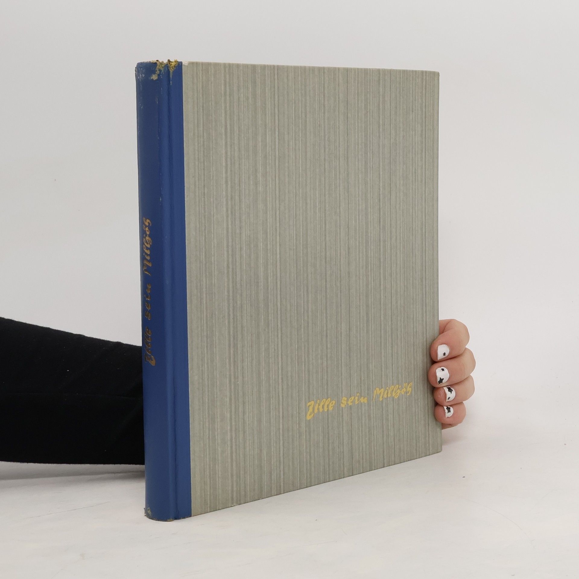 Heinrich Zille Zille sein Miljös