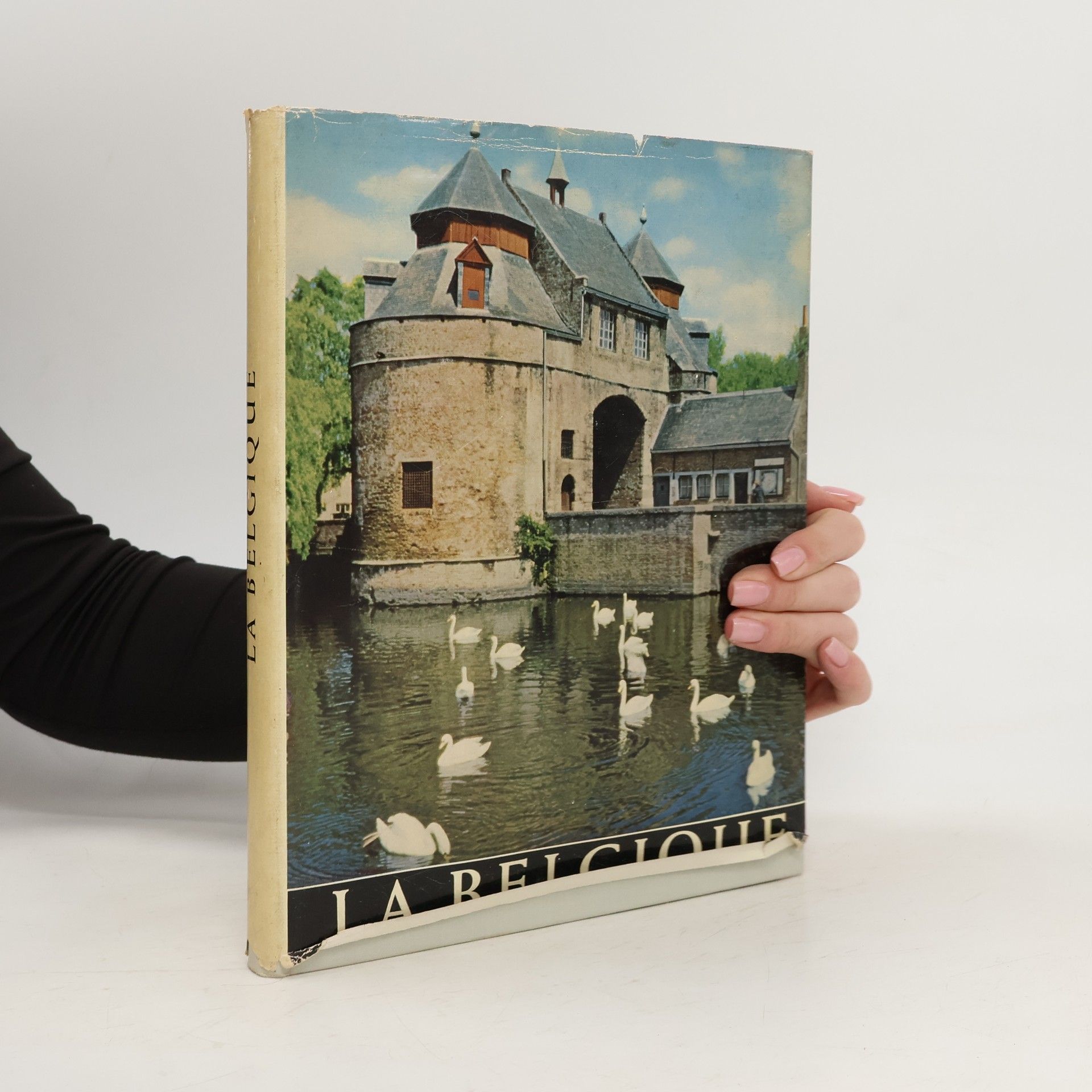 Collectif d'auteurs La Belgique