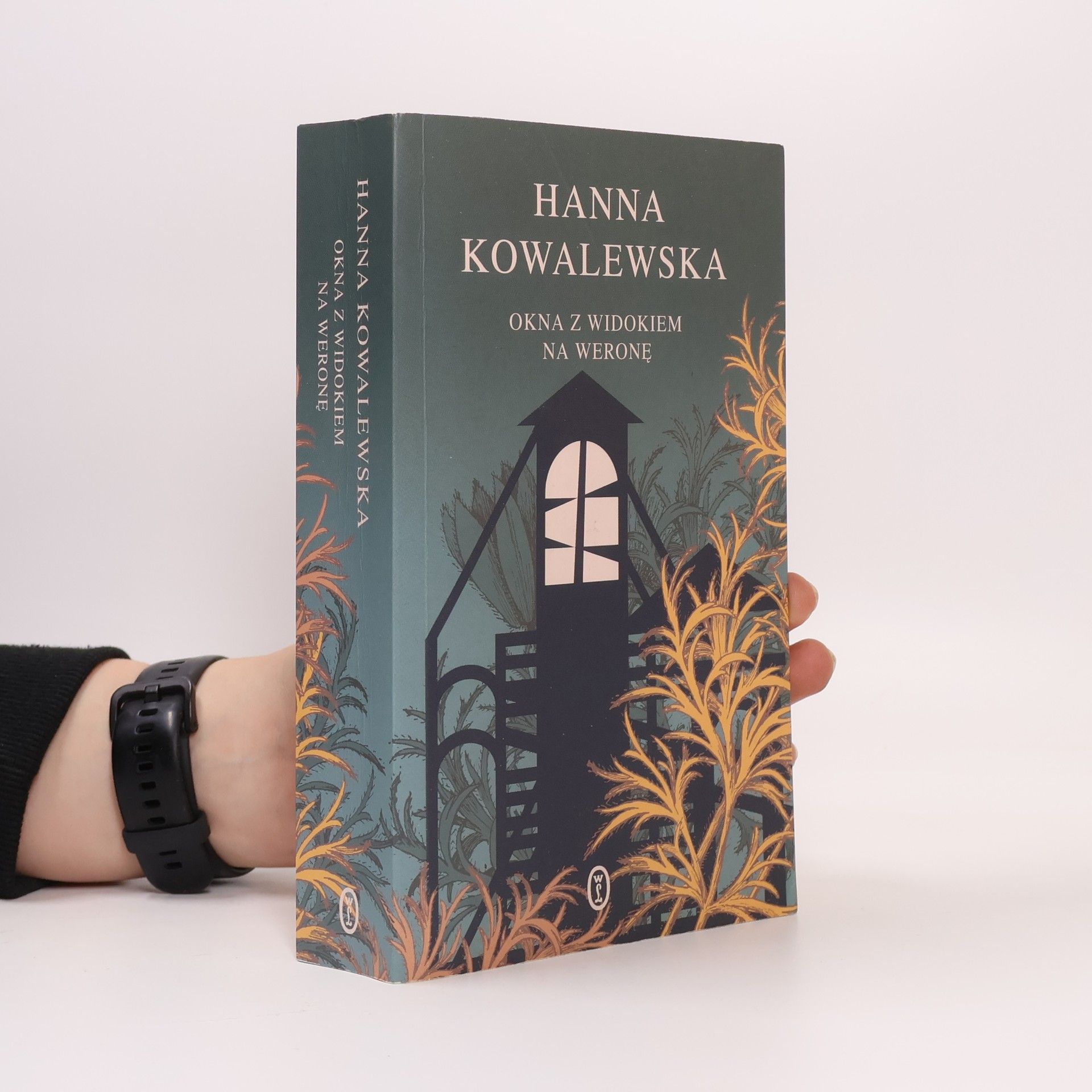 Hanna Kowalewska Okna z widokiem na Weronę BR