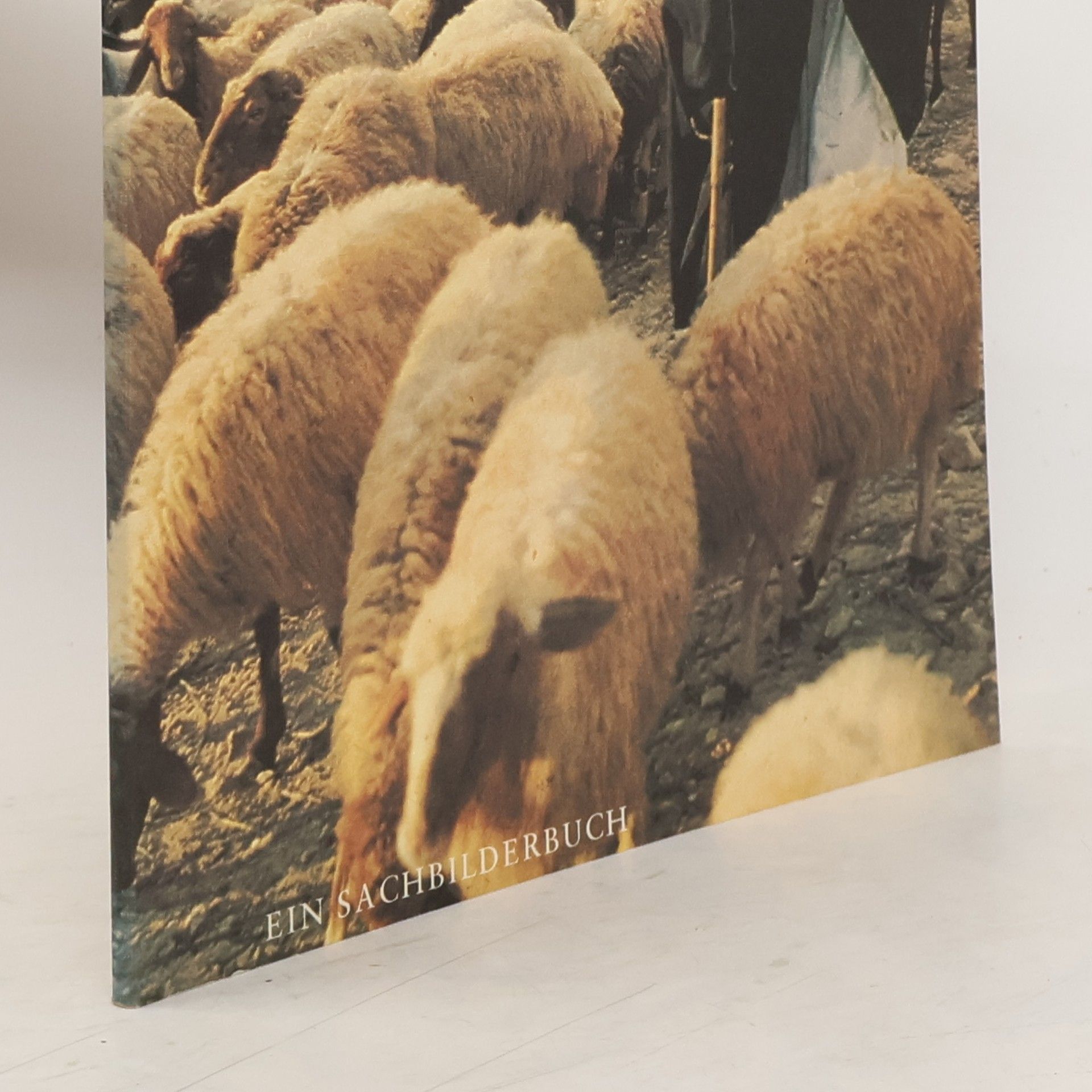 Dietrich Steinwede Jesus aus Nazareth