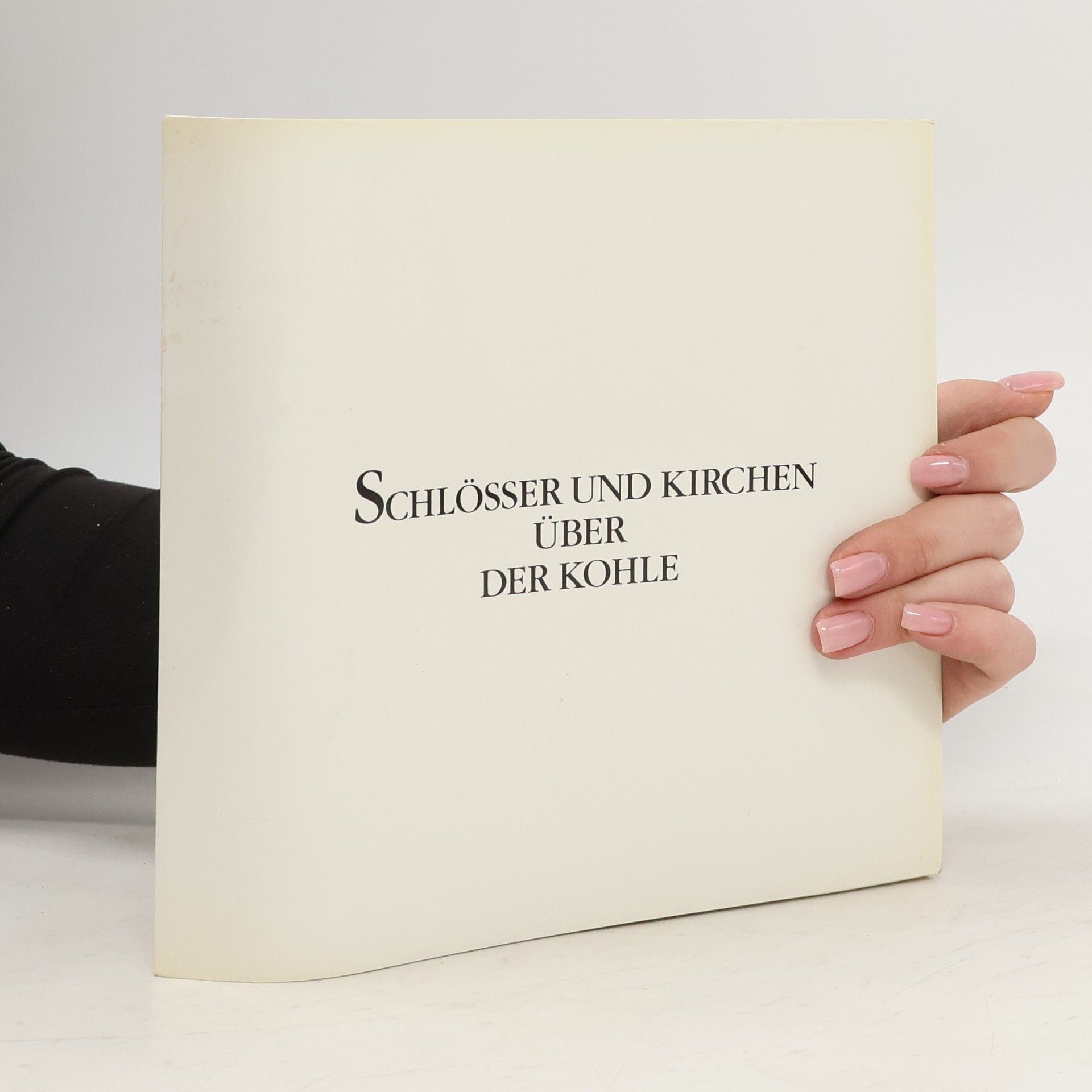 Kolektív autorov Schlösser und Kirchen über der Kohle