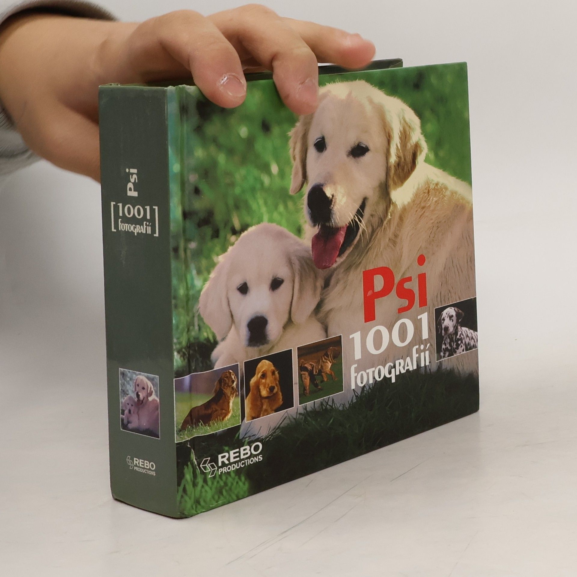 Hana Zástěrová Psi - 1001 fotografií