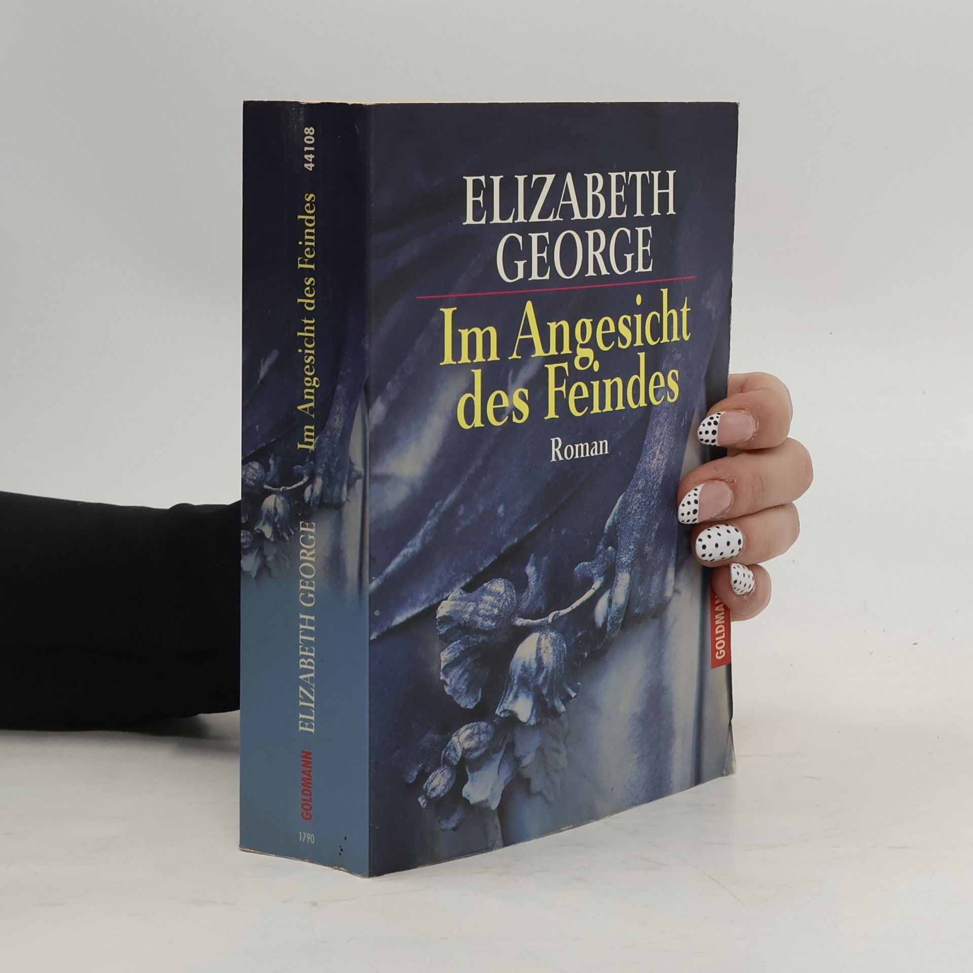 Im Angesicht des Feindes