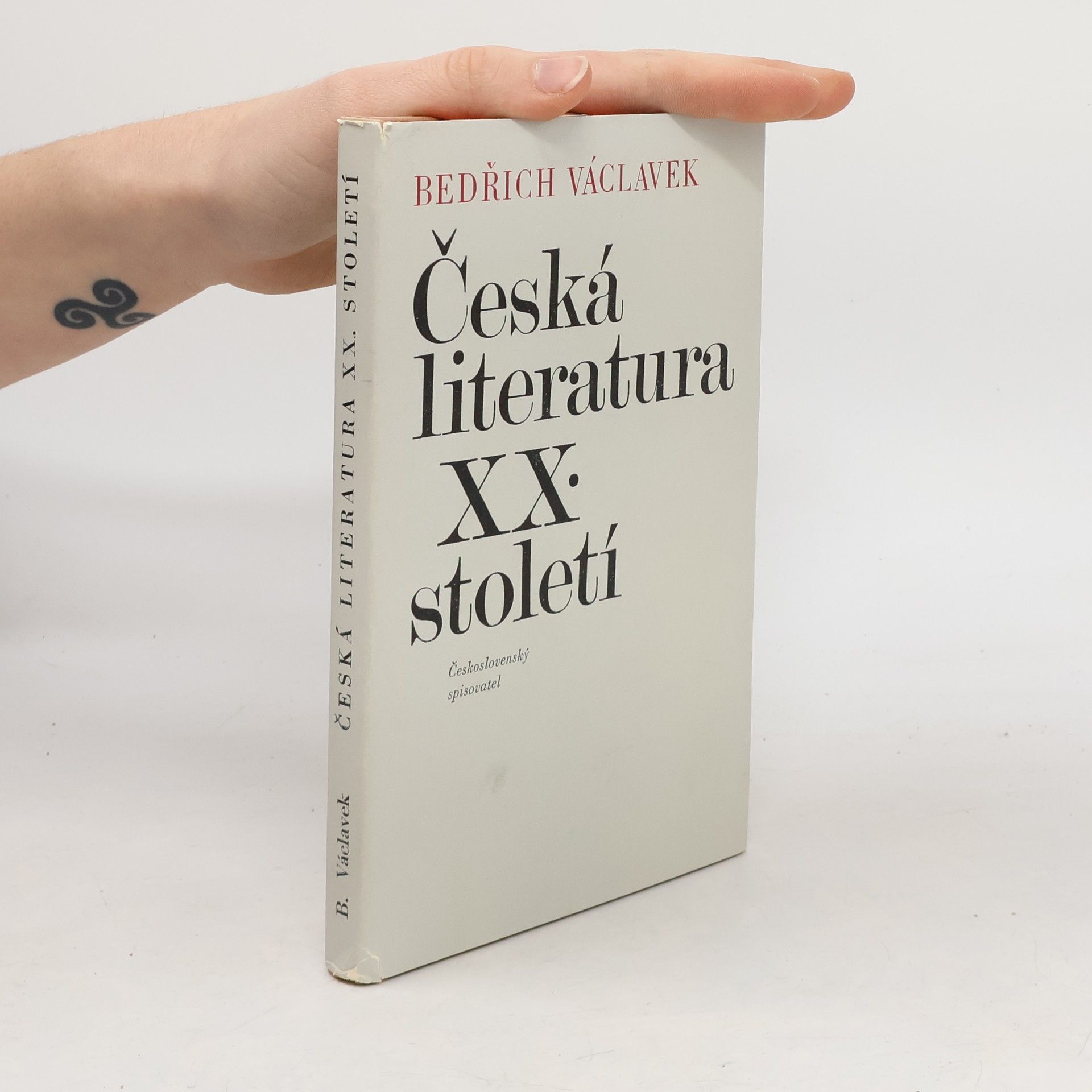 Bedřich Václavek Česká literatura XX. století