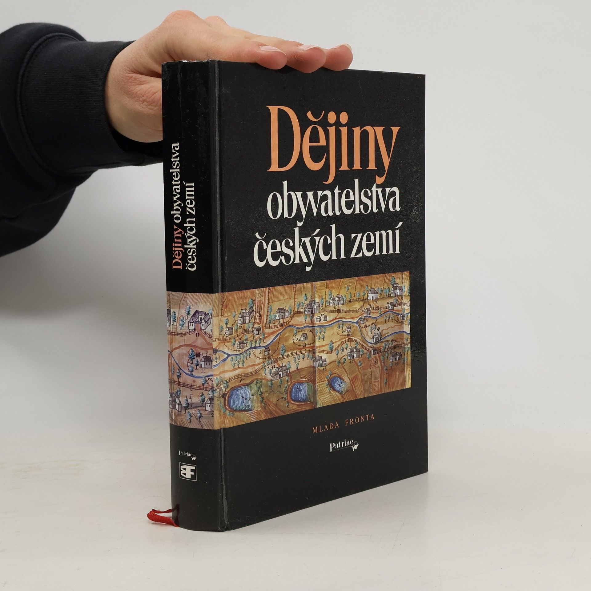 Autorenkollektiv Dějiny obyvatelstva českých zemí
