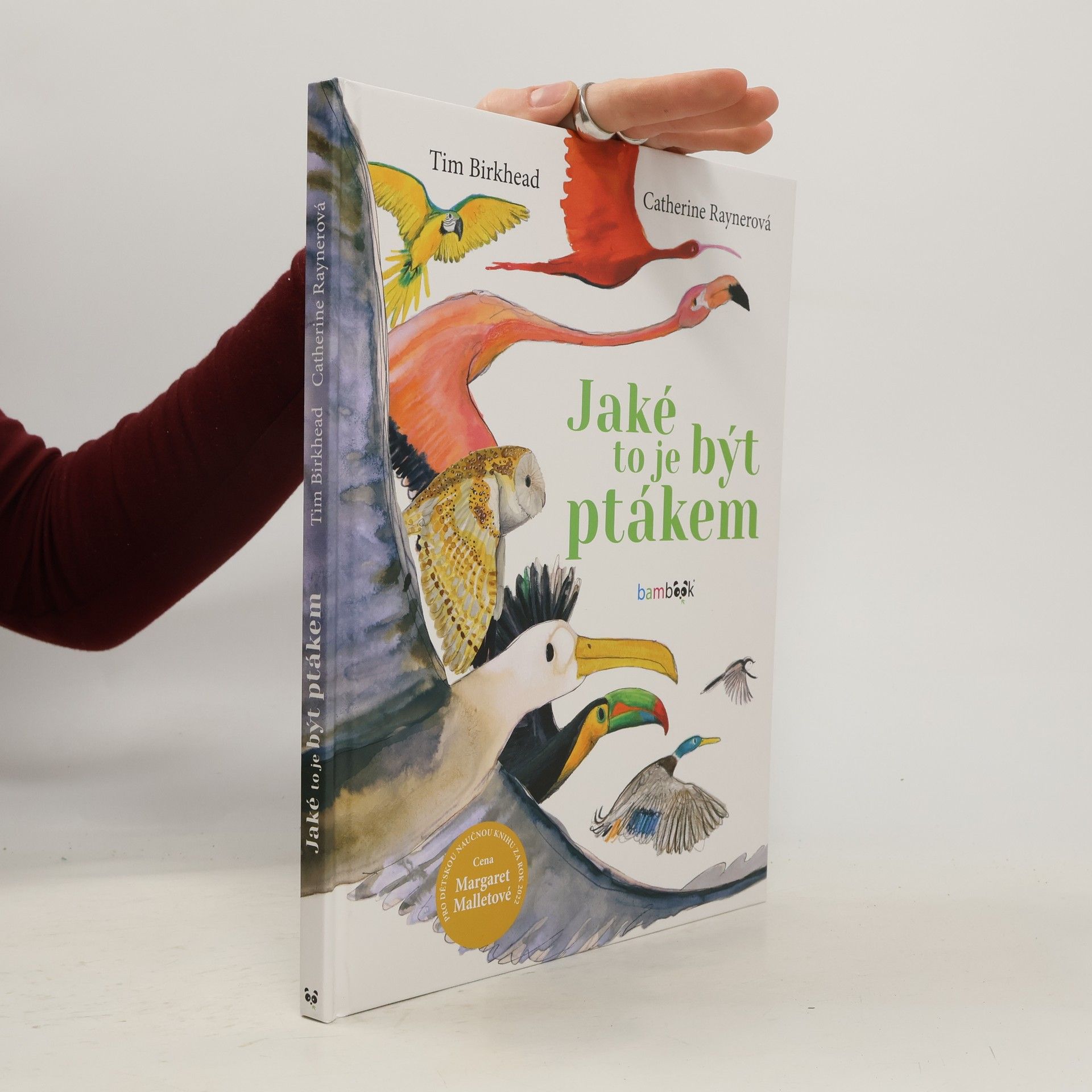 Jaké to je být ptákem