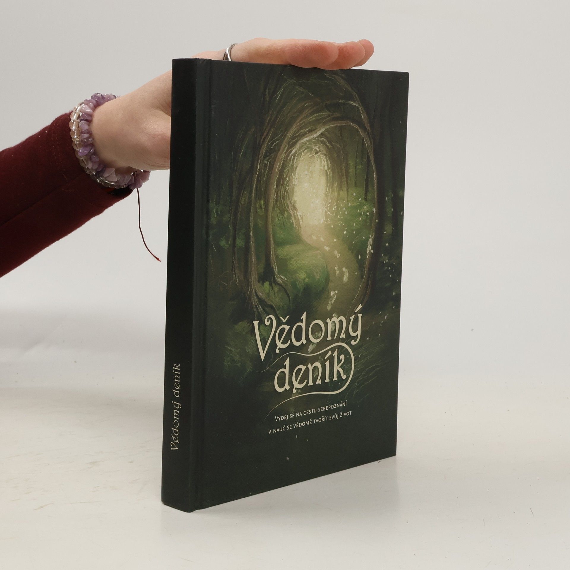 Petr Vozák Vědomý deník : vydej se na cestu sebepoznání a nauč se vědomě tvořit svůj život