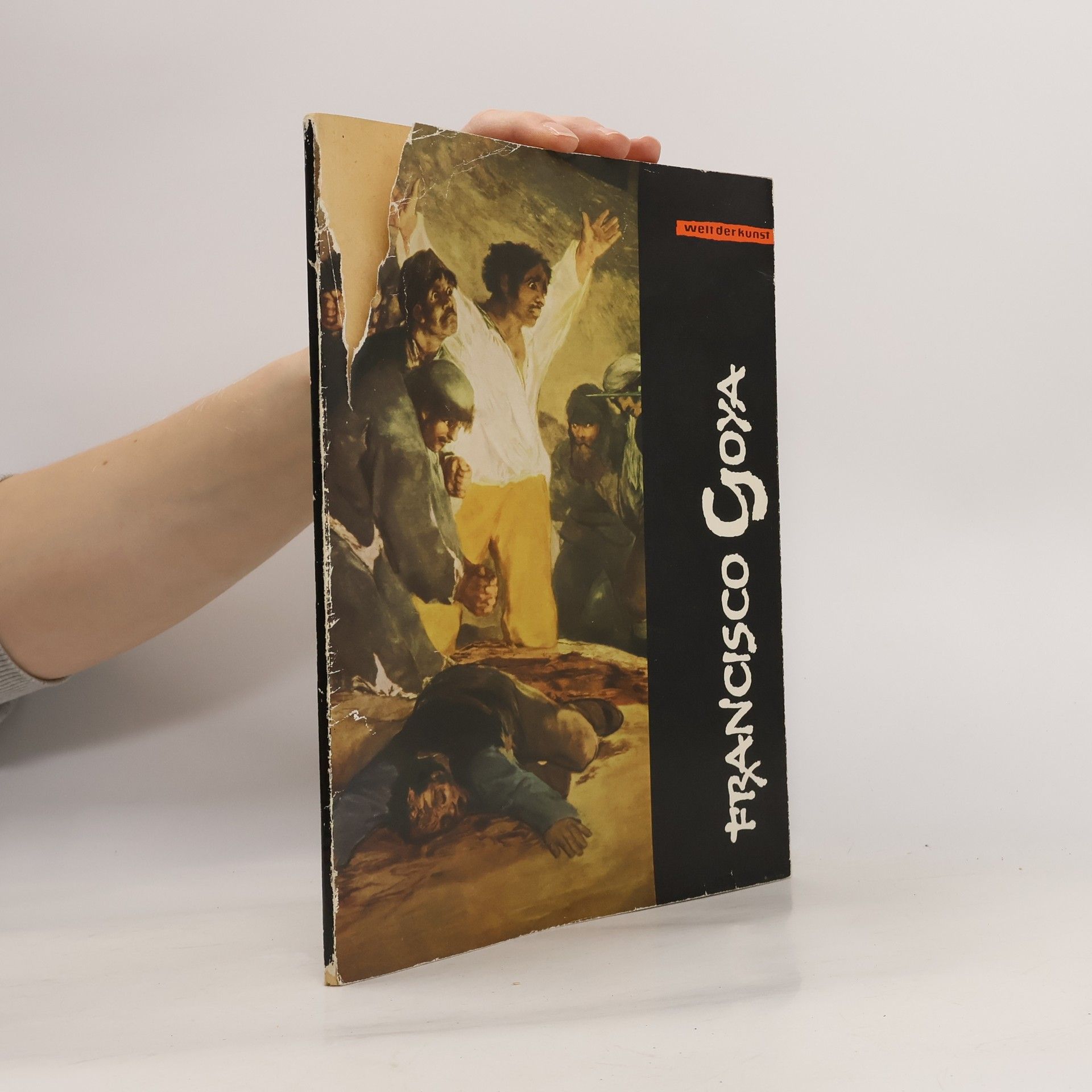 Autorenkollektiv Francisco Goya