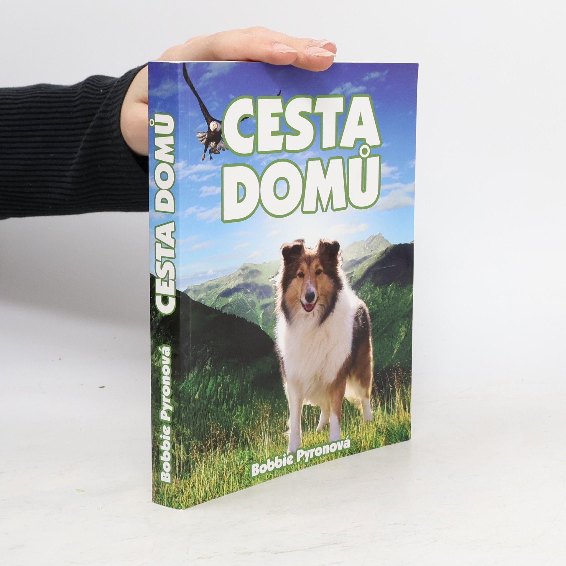 Cesta domů