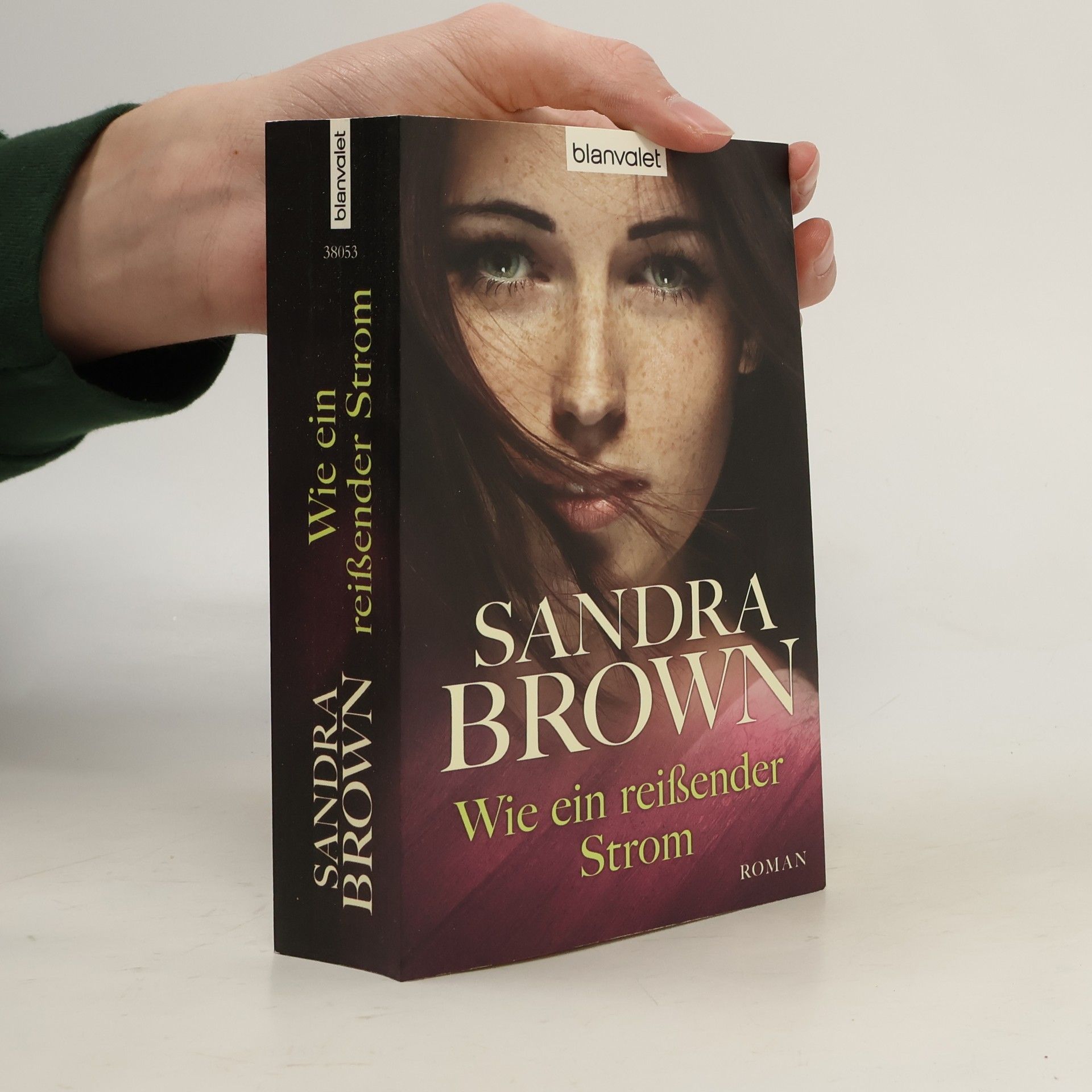 Sandra Brown Wie ein reißender Strom