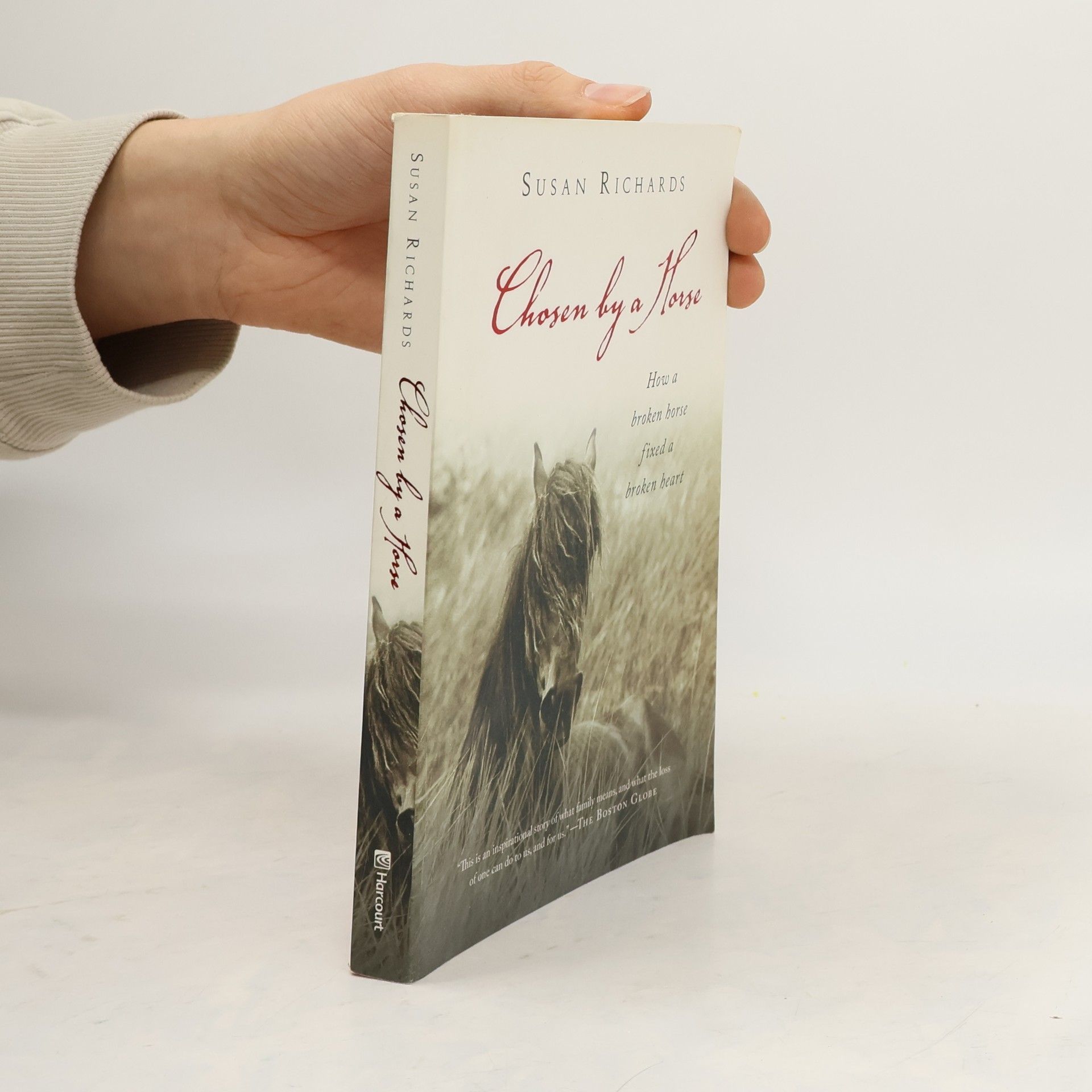 Susan Richards Chosen by a Horse