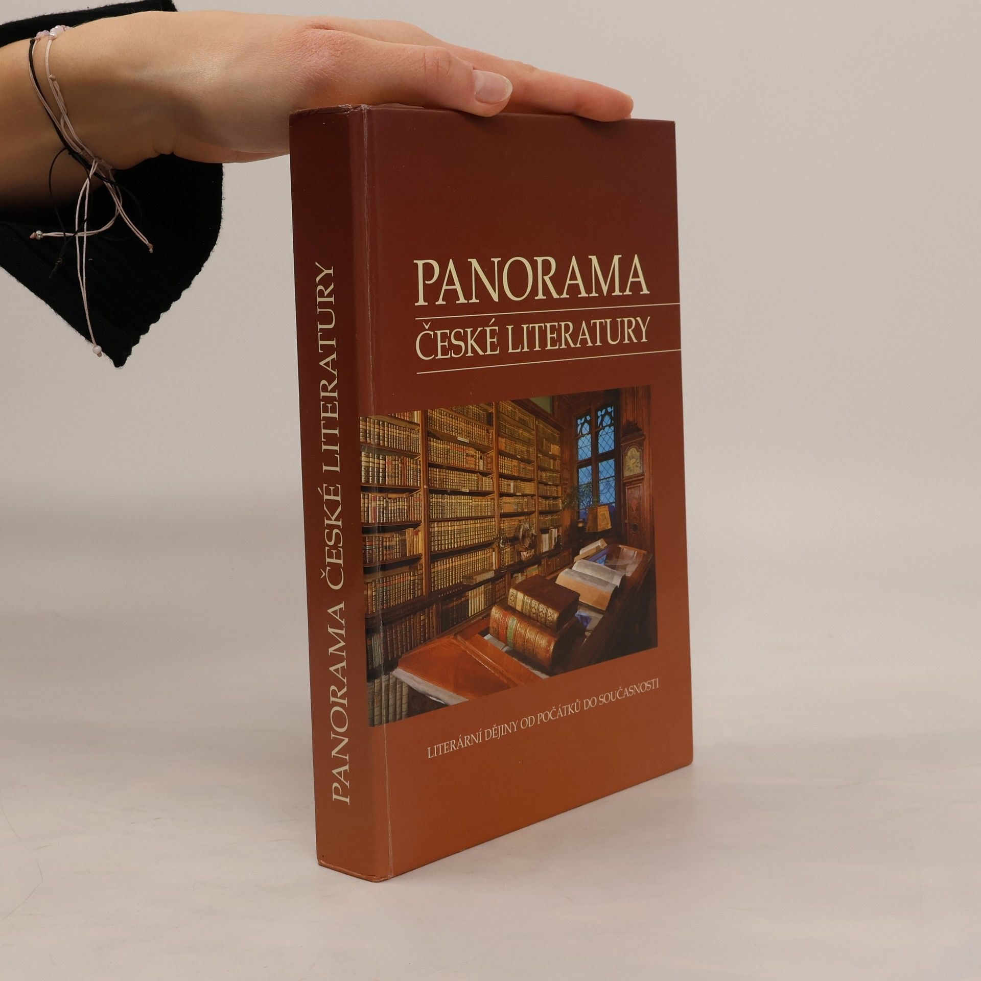 Auteurscollectief Panorama české literatury. Literární dějiny od počátků do současnosti