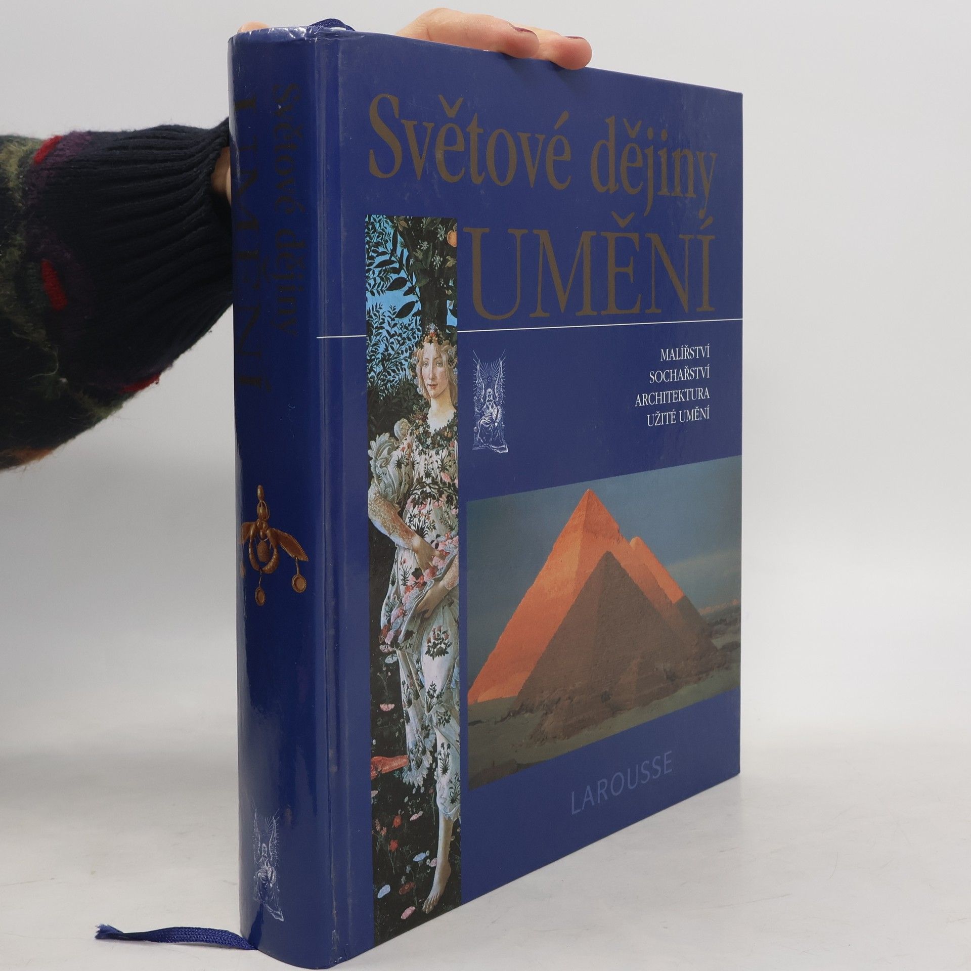 Albert Châtelet Světové dějiny umění : malířství, sochařství, architektura, užité umění