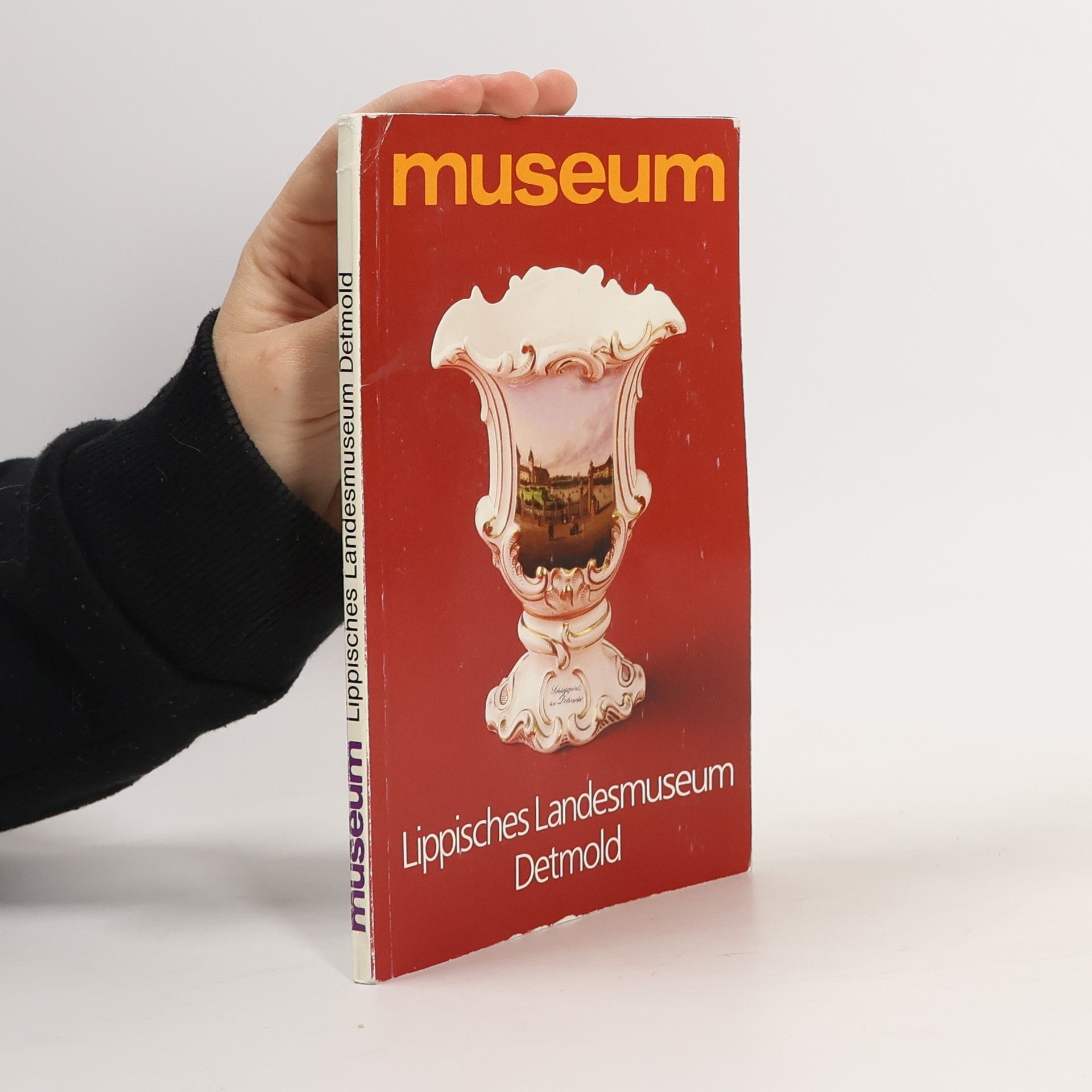 Auteurscollectief Lippisches Landesmuseum Detmold