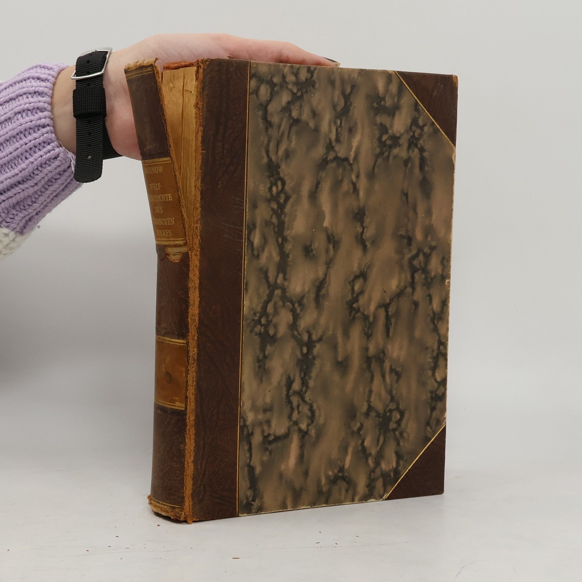 Dubnow Simon Weltgeschichte des jüdischen Volkes X.