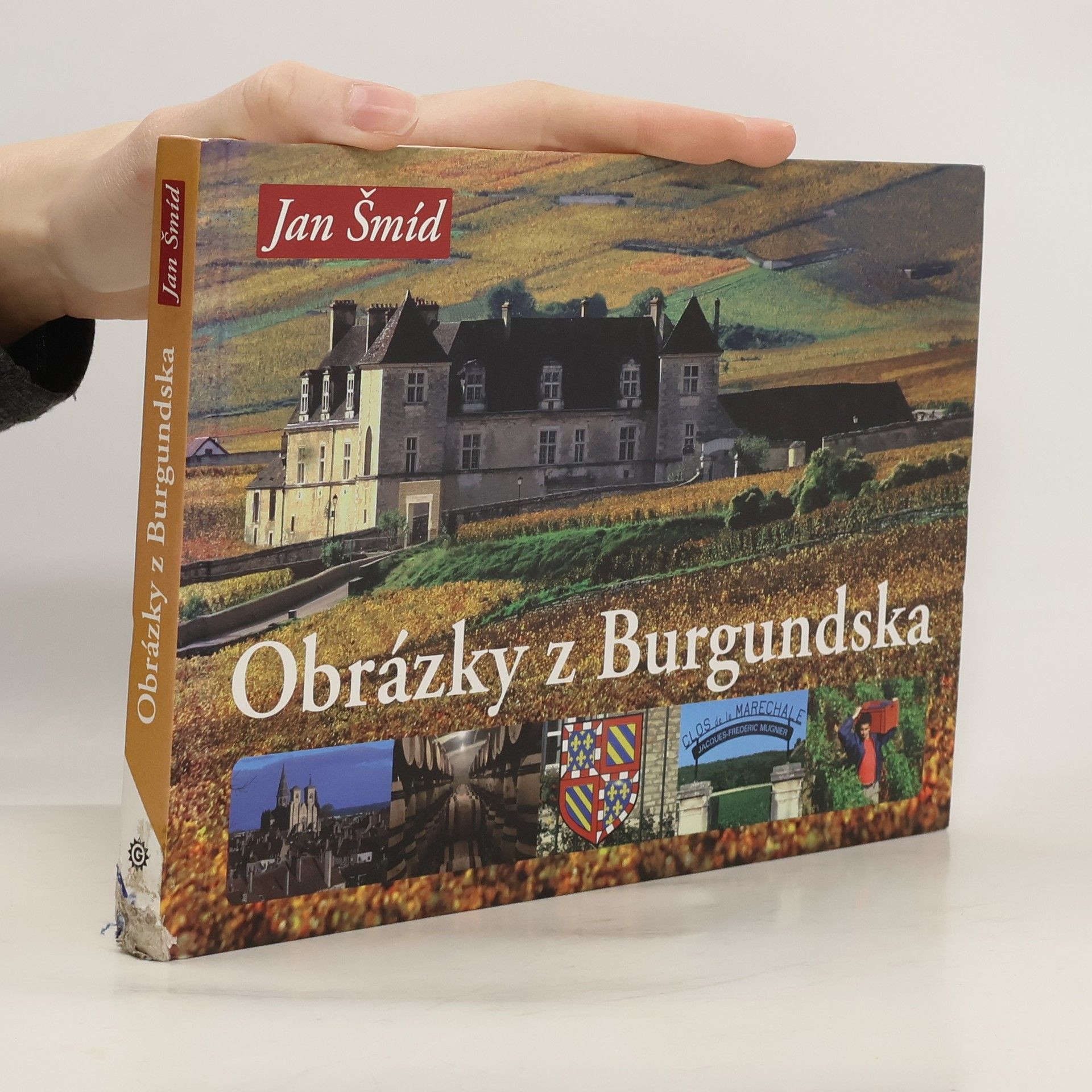 Jan Šmíd Obrázky z Burgundska