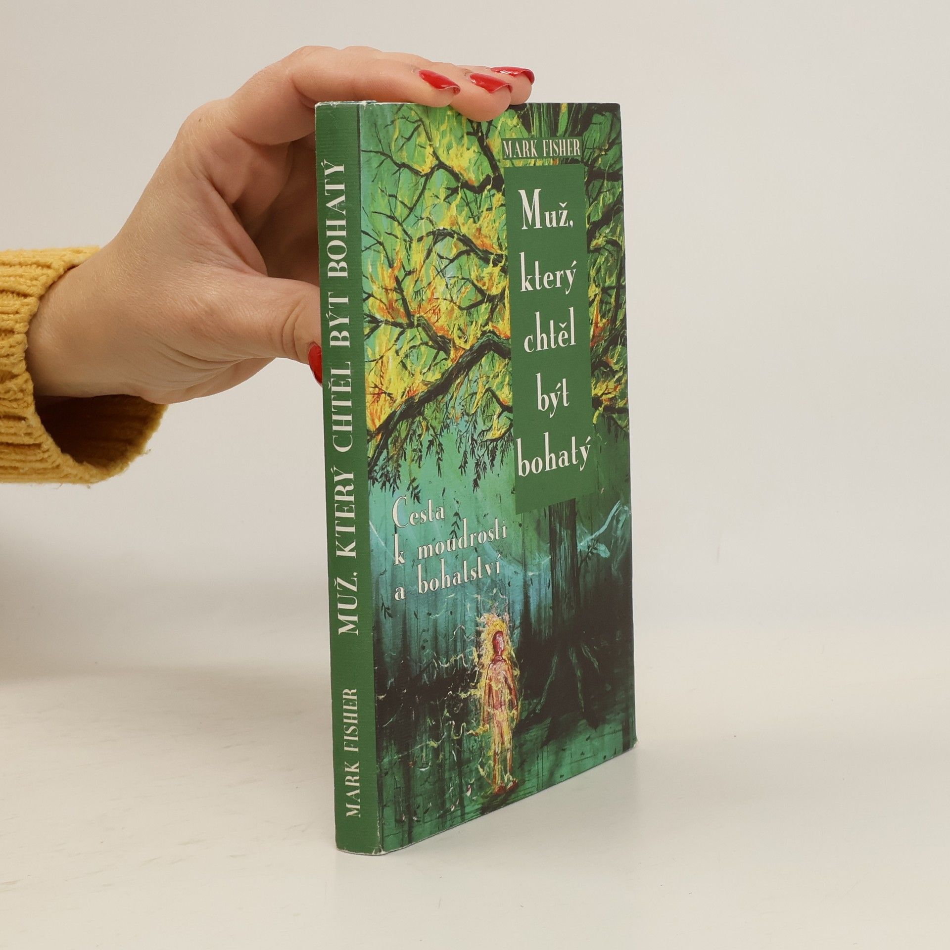 Mark Fisher Muž, který chtěl být bohatý