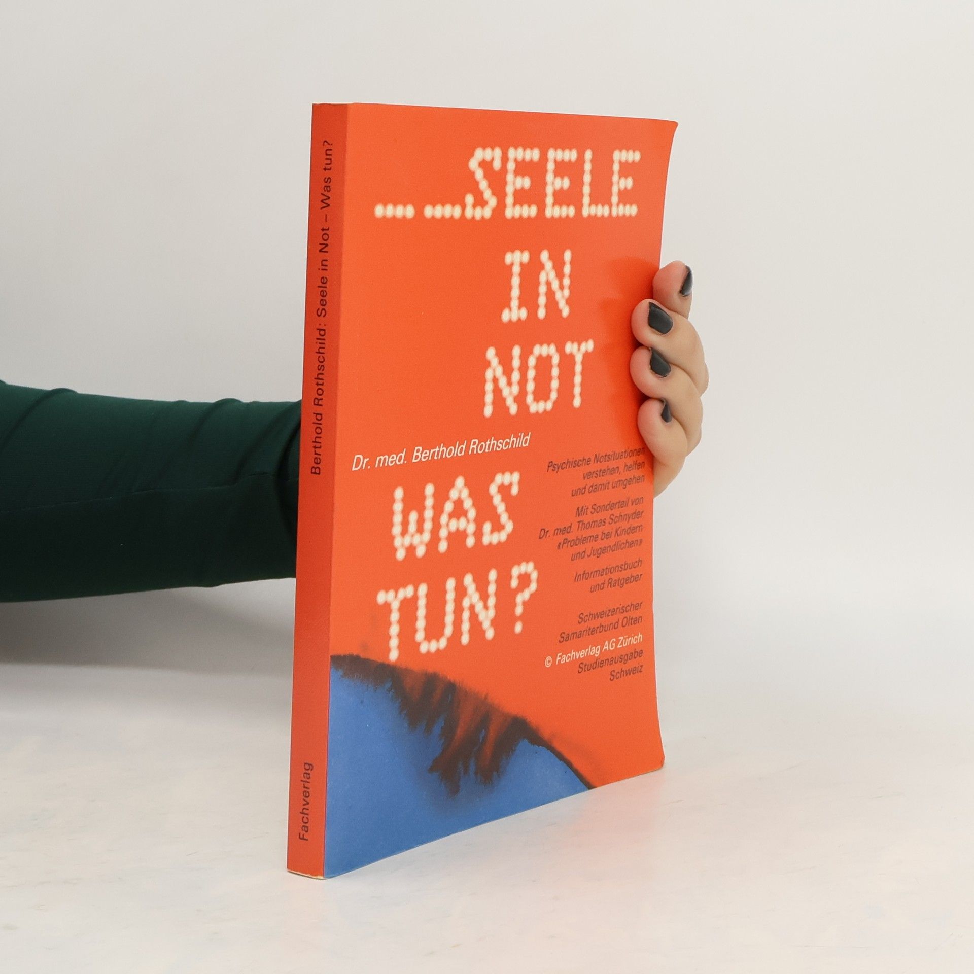 Berthold Rothschild Seele in Not, was tun?