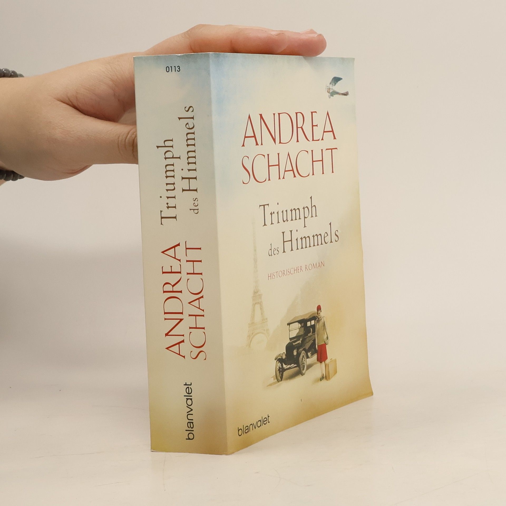 Andrea Schacht Triumph des Himmels