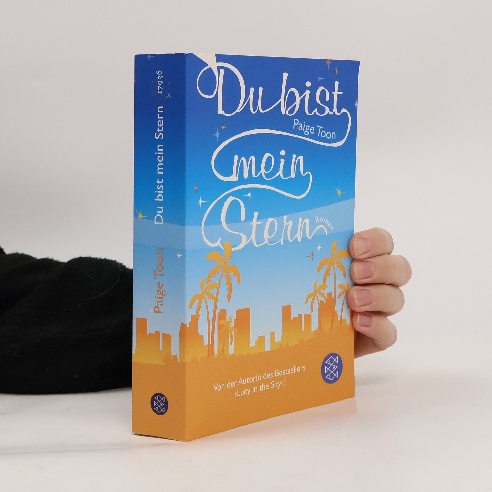 Paige Toon Du bist mein Stern